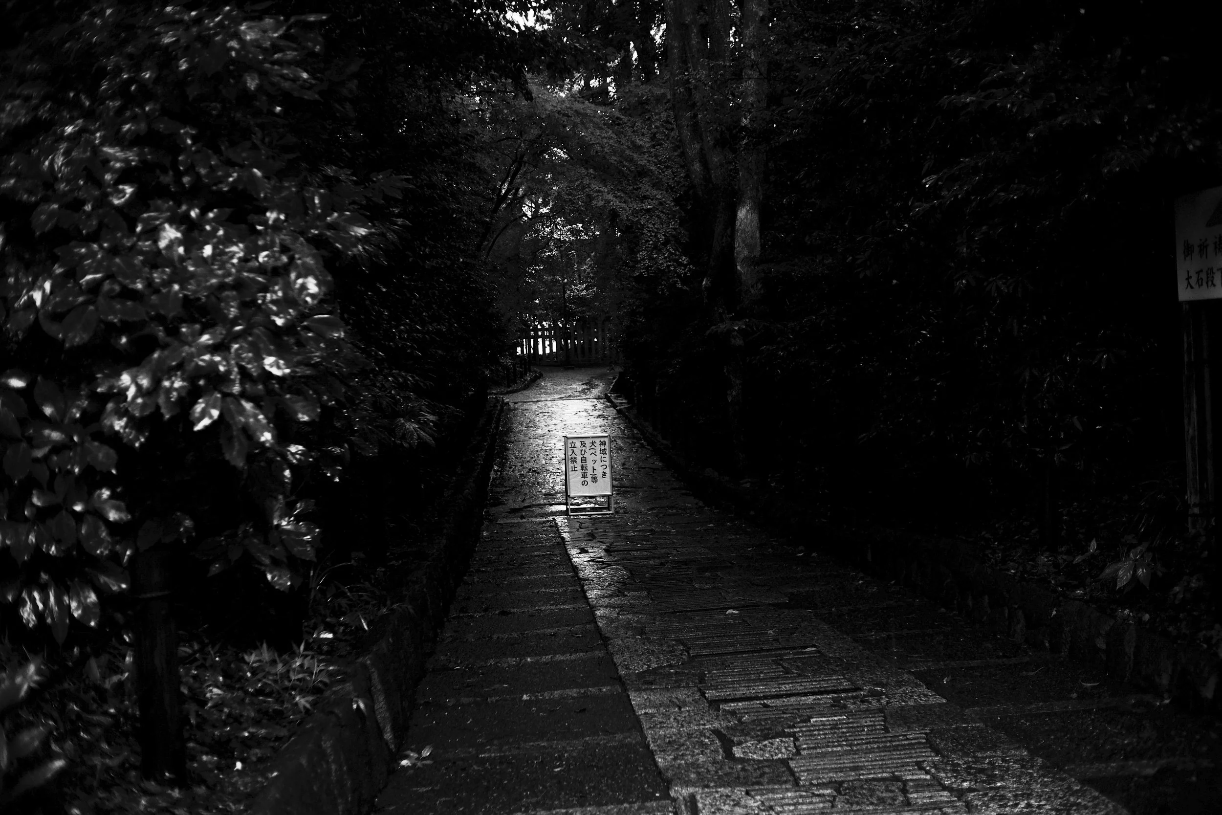 DSCF1860-2.jpg