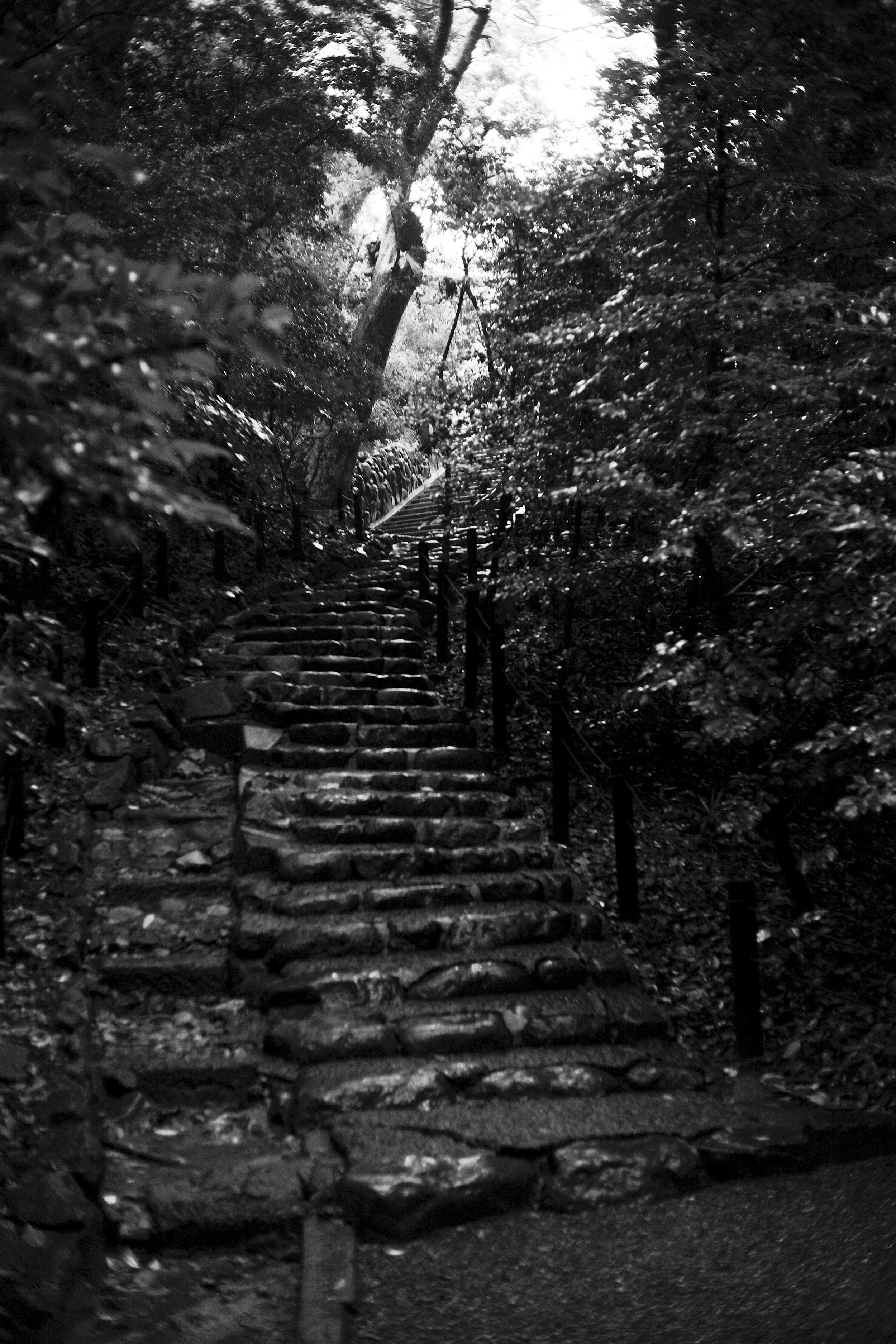 DSCF1863-2.jpg