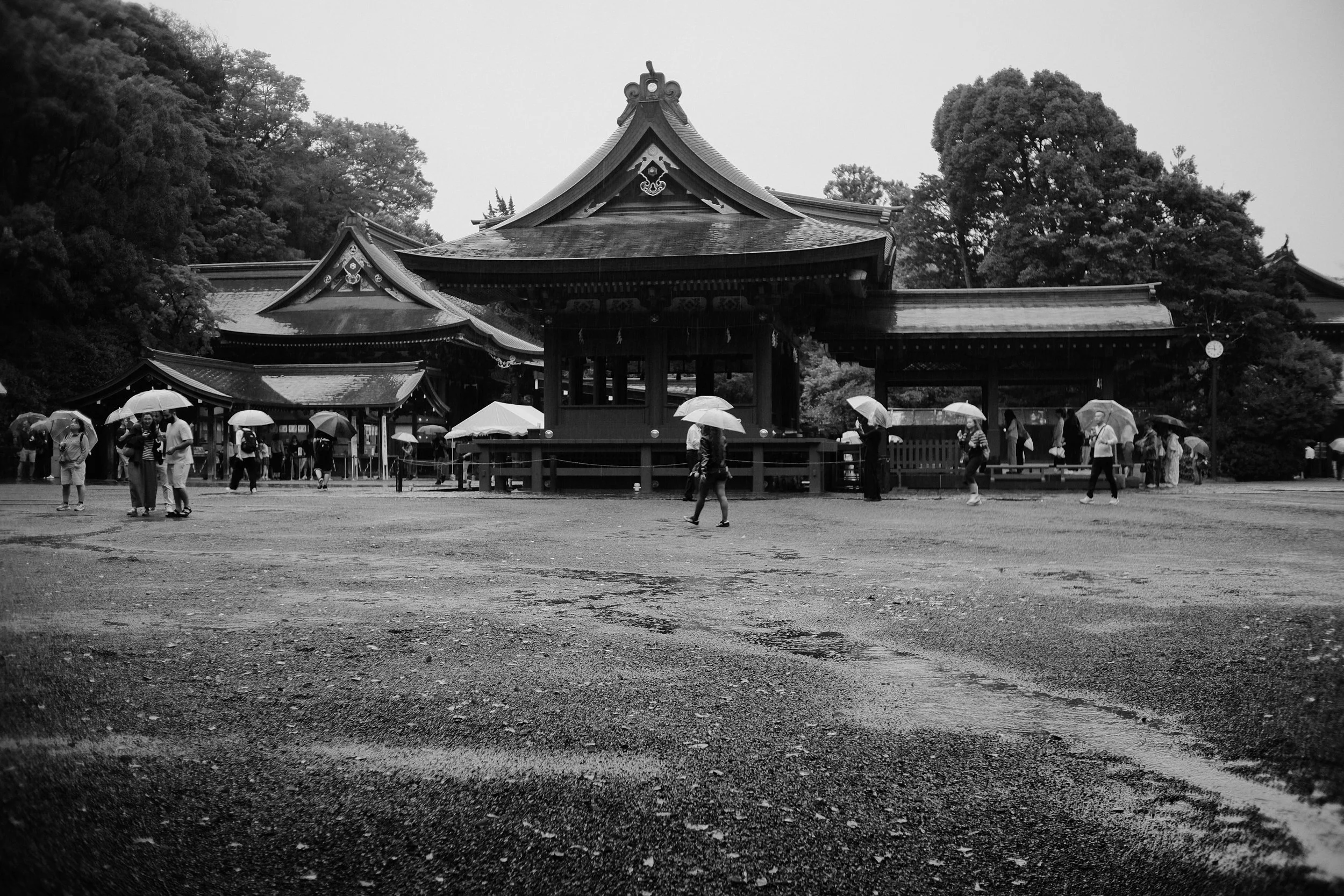 DSCF1865-3.jpg