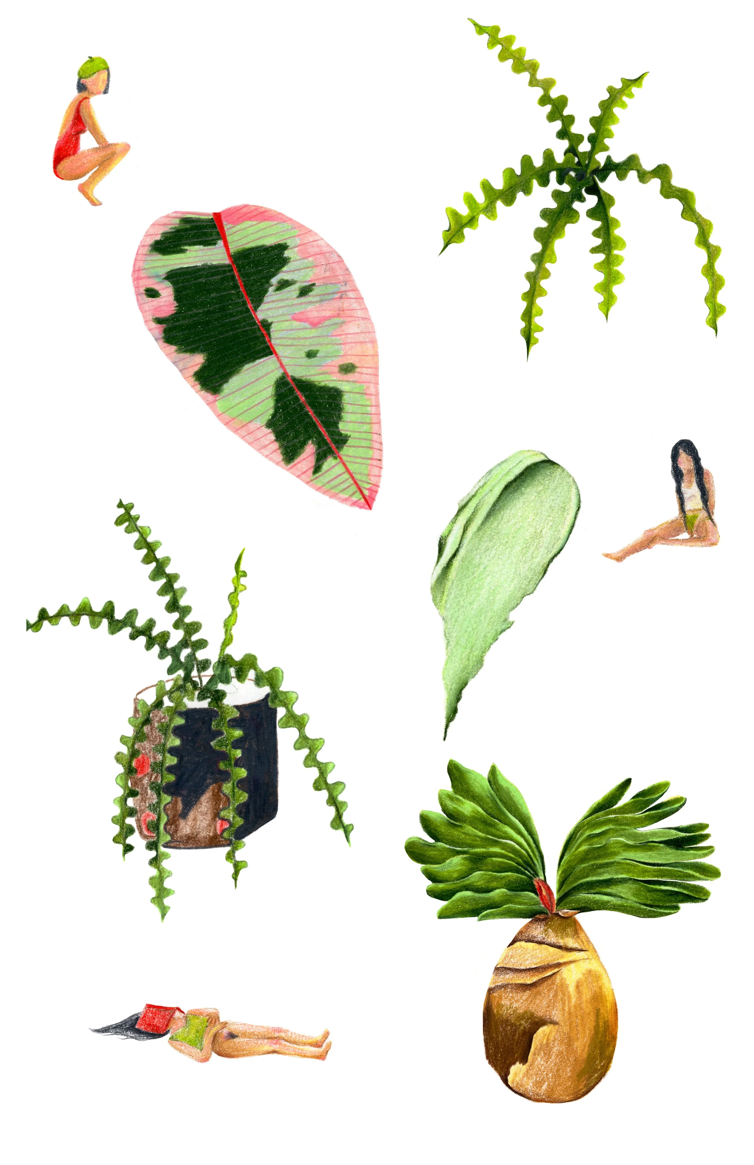 Women and plants.jpg