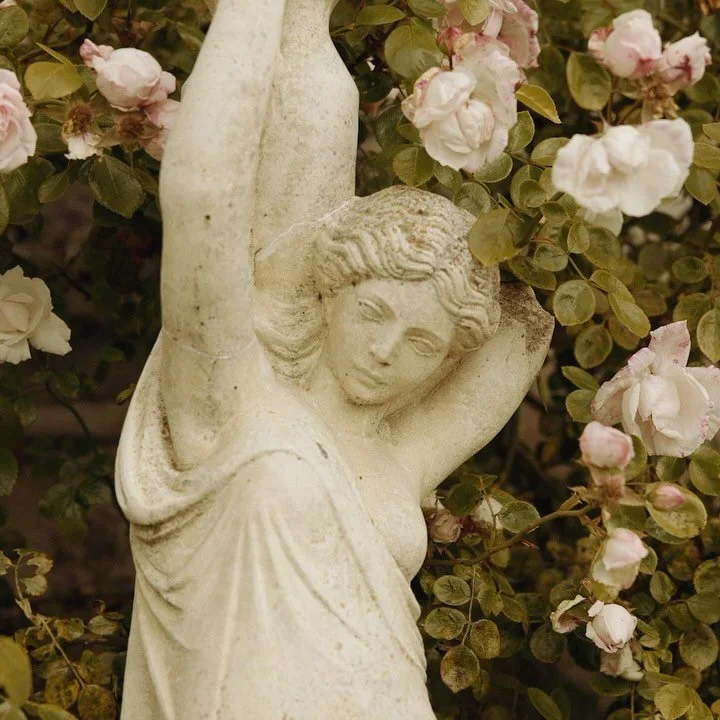 There are some venues in Ireland that will take your breath away and Luttrellstown is definitely one of them!🥂🖤✨

#luttrelstowncastle #irishwedding #dreamwedding