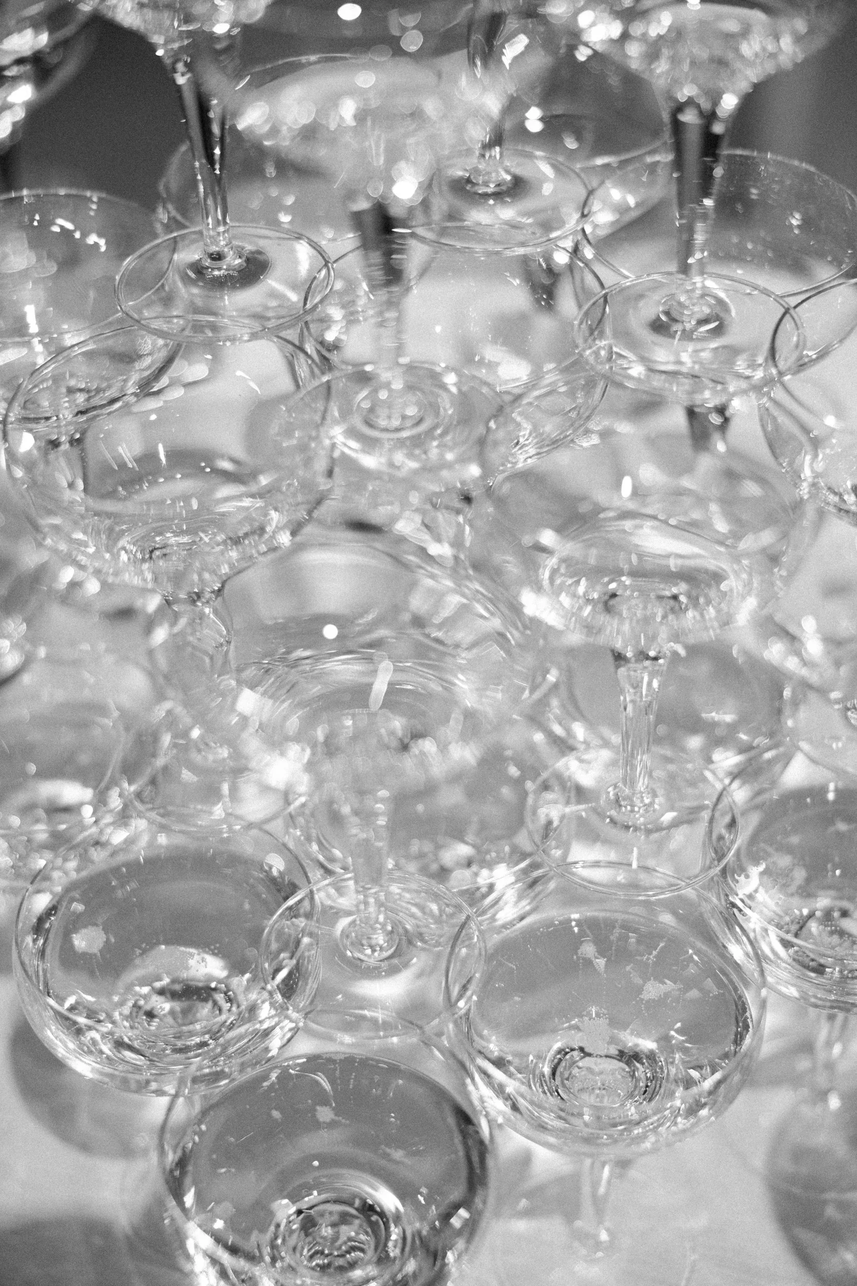 AOIFE & EMILLY NONFICTION LOVE WEDDING PHOTOGRAPHER JUDE & VALENTINE -244.jpg