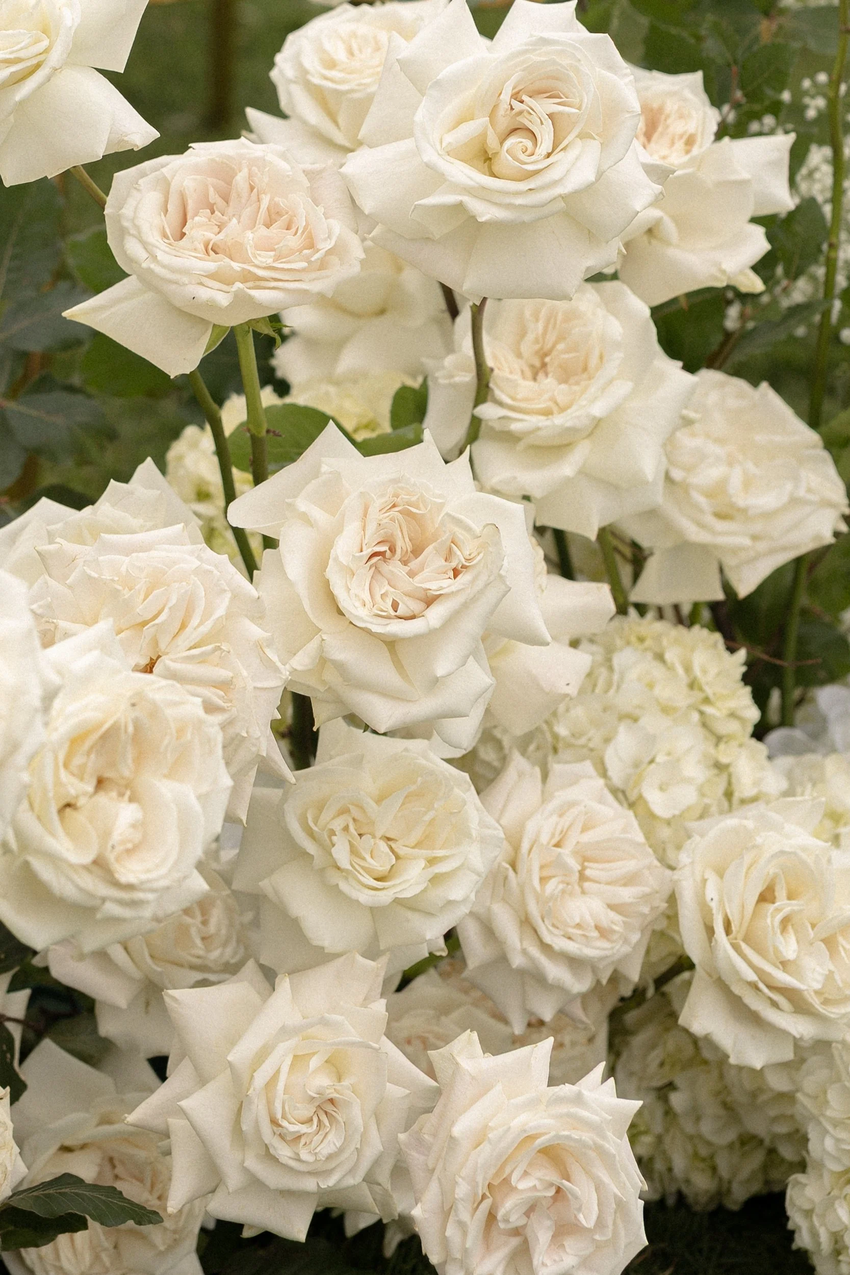 AOIFE & EMILLY NONFICTION LOVE WEDDING PHOTOGRAPHER JUDE & VALENTINE -5.jpg