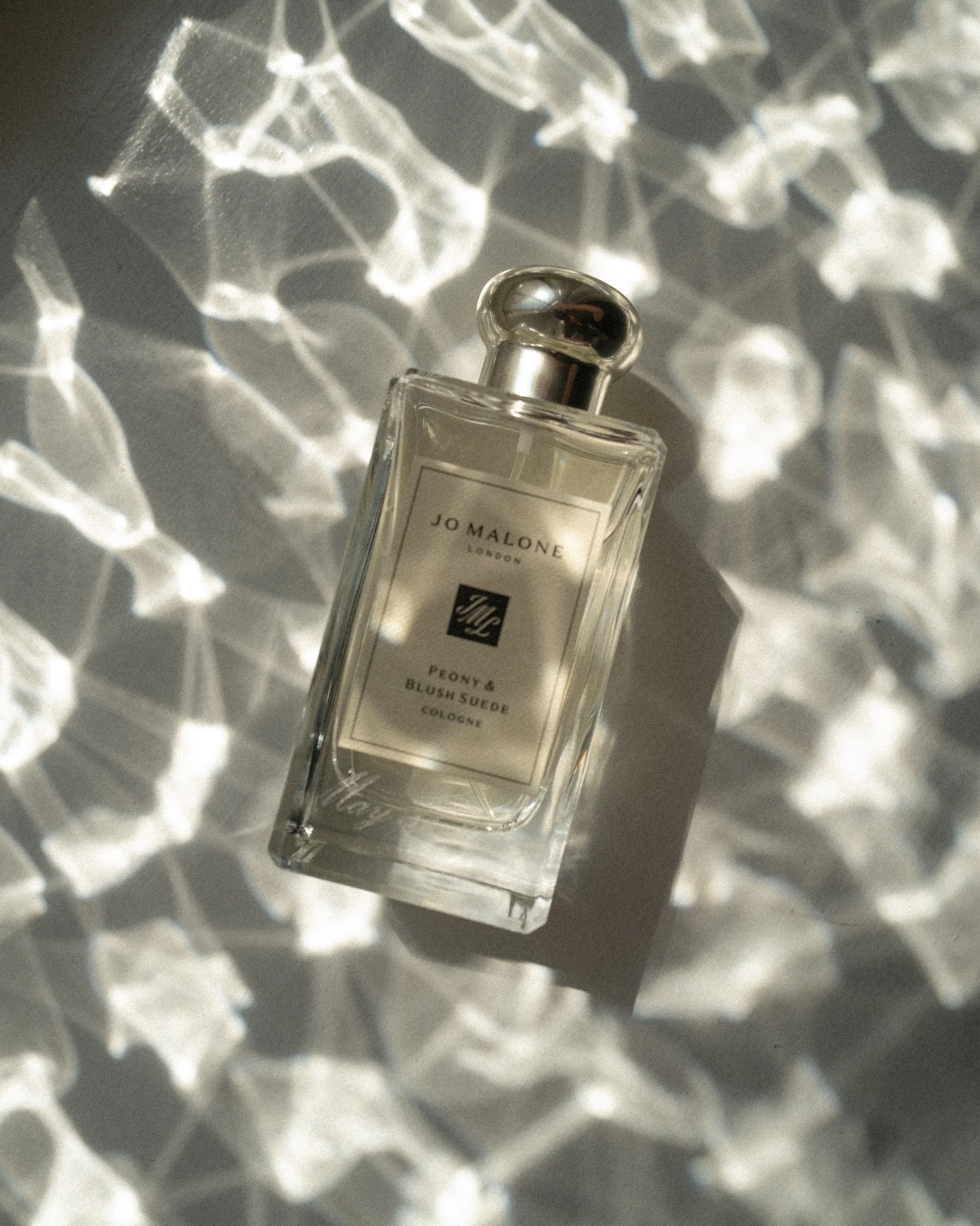 AOIFE & EMILLY NONFICTION LOVE WEDDING PHOTOGRAPHER JUDE & VALENTINE -83.jpg