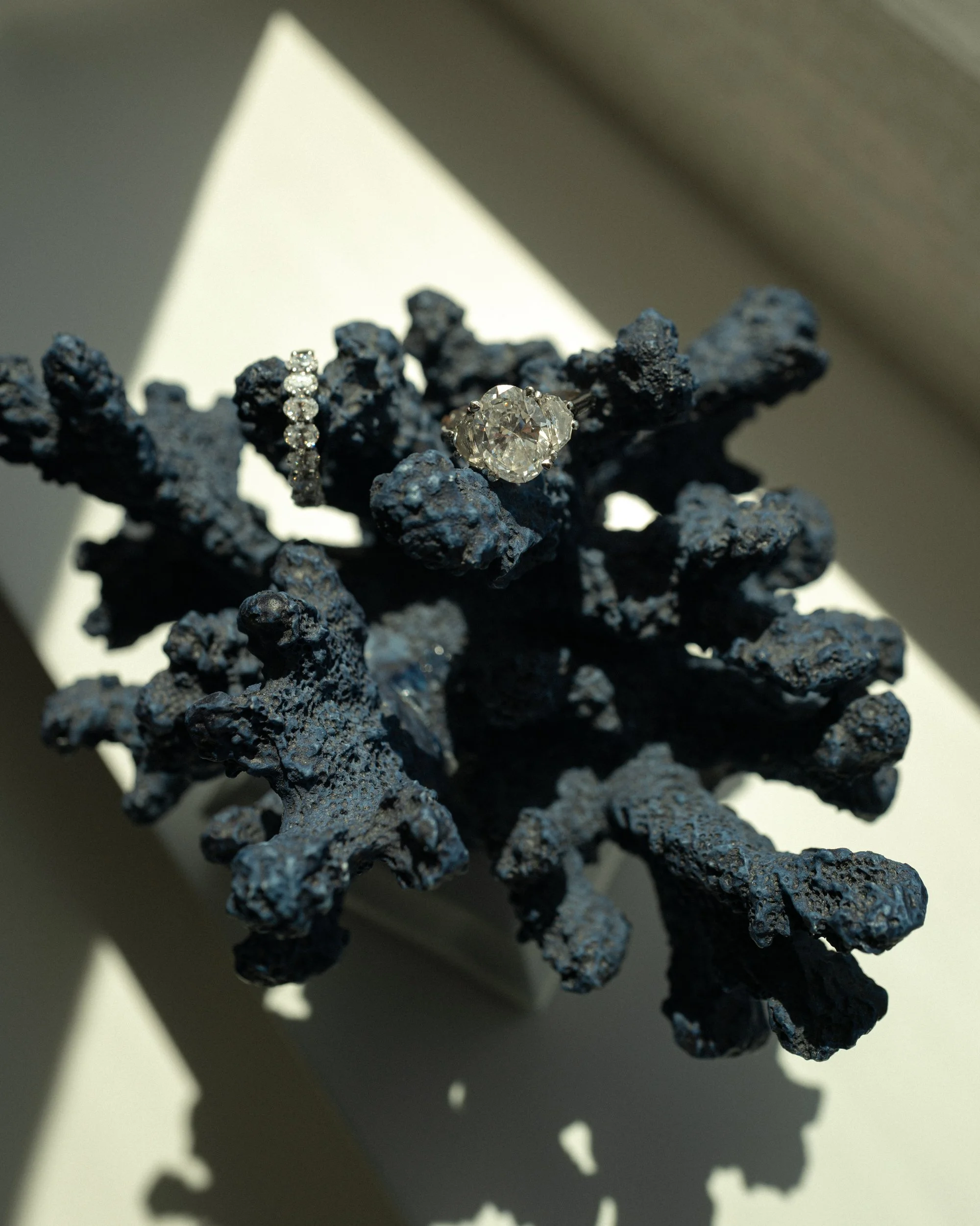 AOIFE & EMILLY NONFICTION LOVE WEDDING PHOTOGRAPHER JUDE & VALENTINE -218.jpg