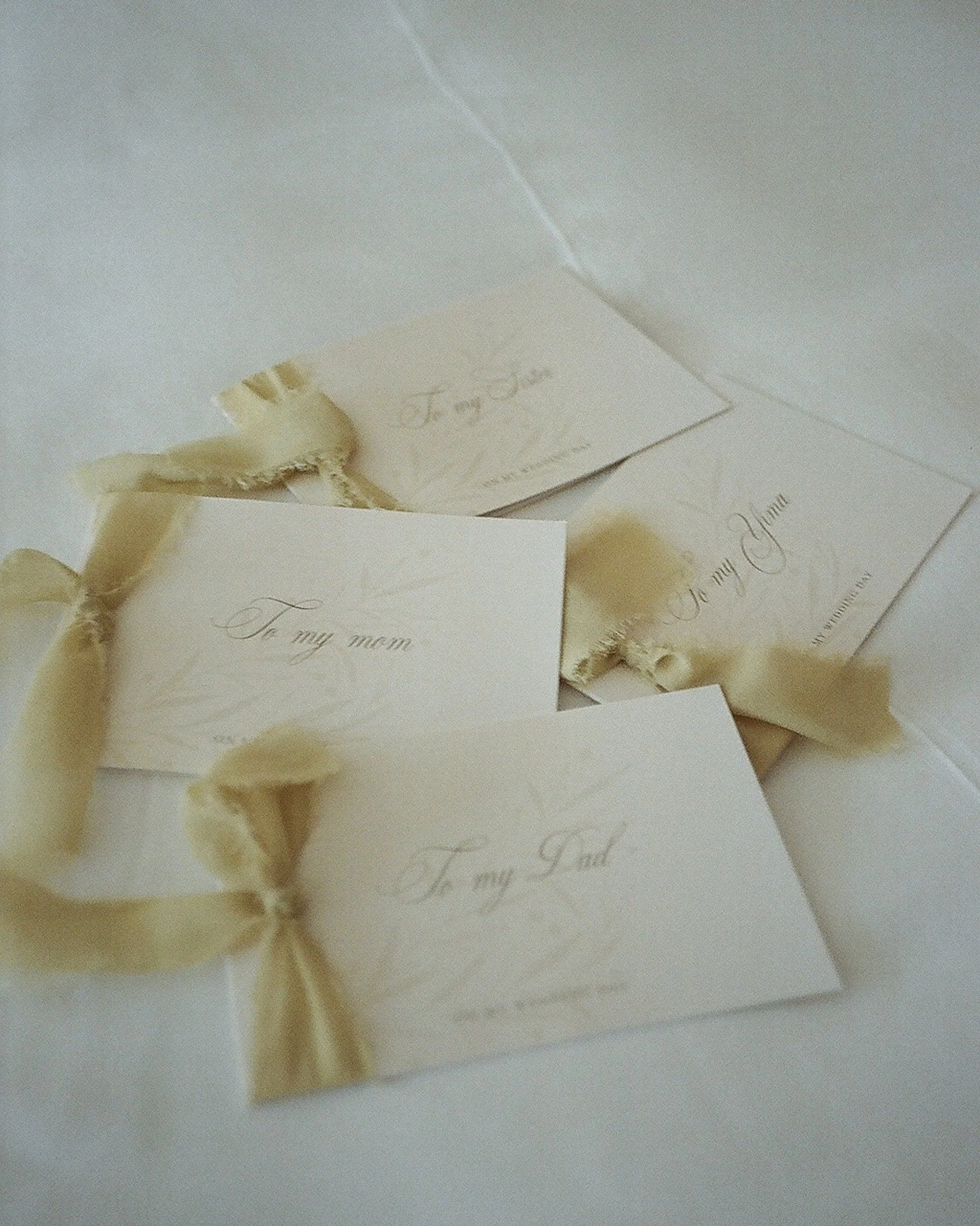 AOIFE & EMILLY NONFICTION LOVE WEDDING PHOTOGRAPHER JUDE & VALENTINE -235.jpg