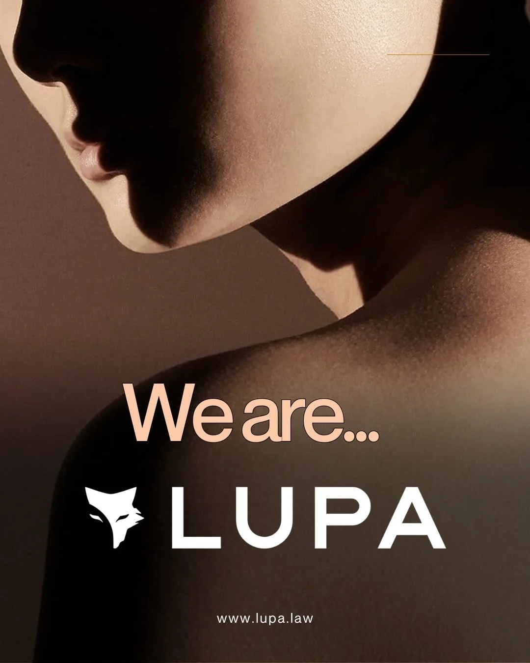We are Lupa

🐺What do we do? 

We are boutique medical negligence and cosmetic injury lawyers.

When the system breaks down, we step in to reclaim what has been taken from you, and rebuild what comes next. 

🐺What do we stand for?

Elevating patien