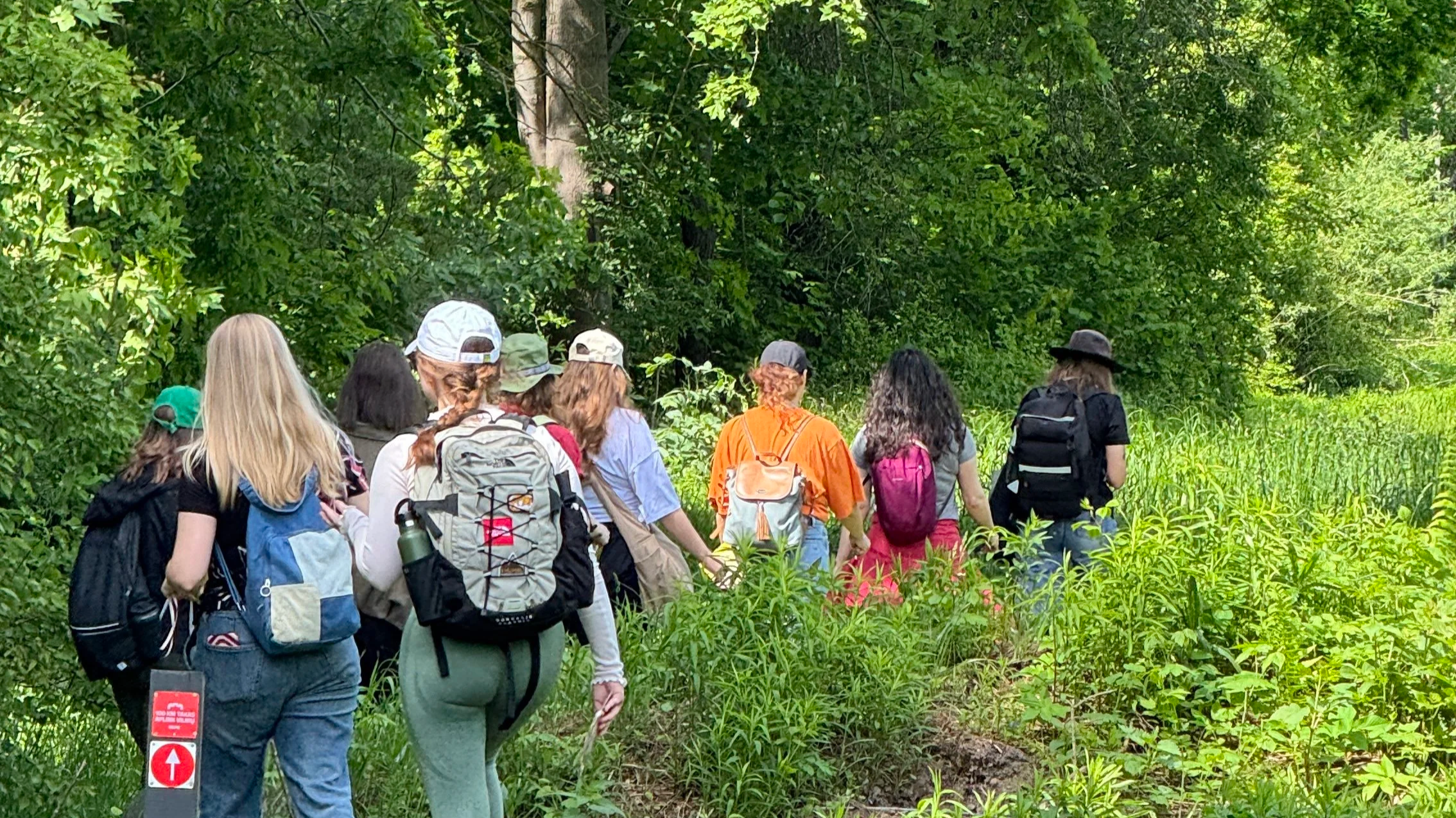Summer Opener: A Social Hike | June 7