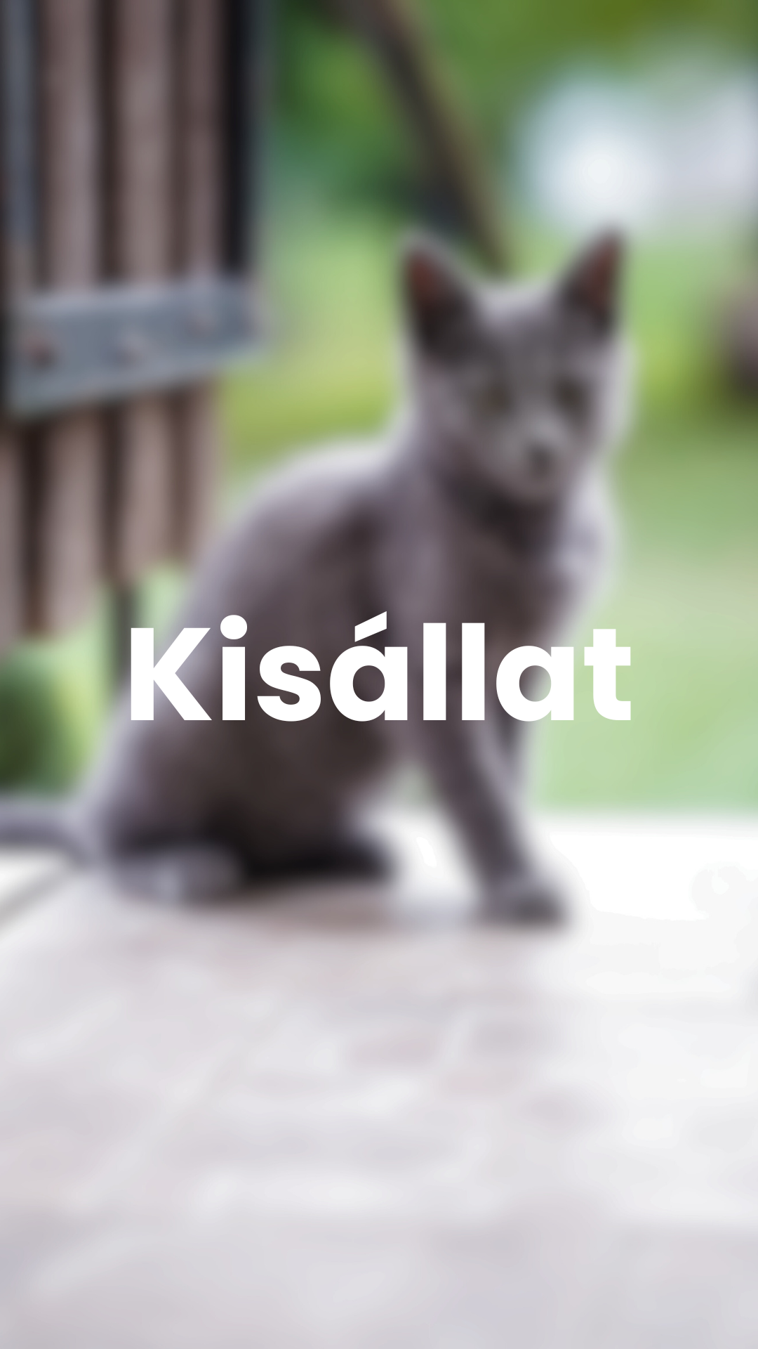 Kisállat.png