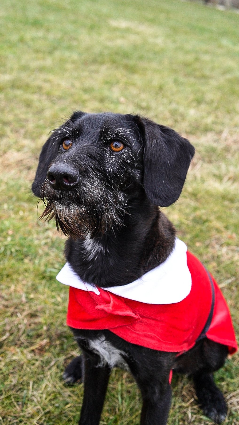 Trükkiskola Suzyval