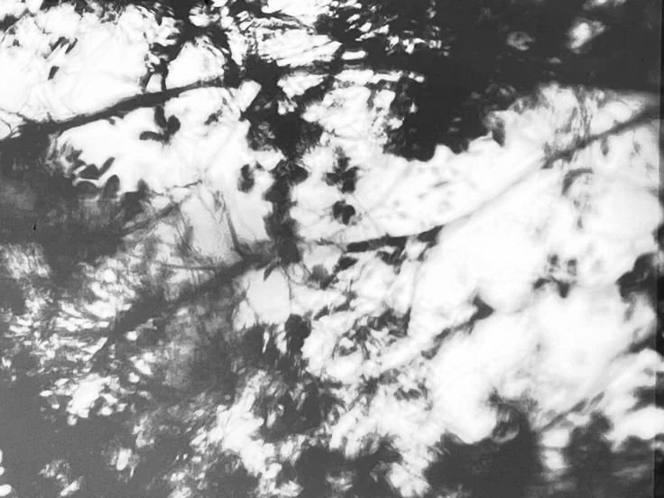 A Naturopath’s Guide to Autumn