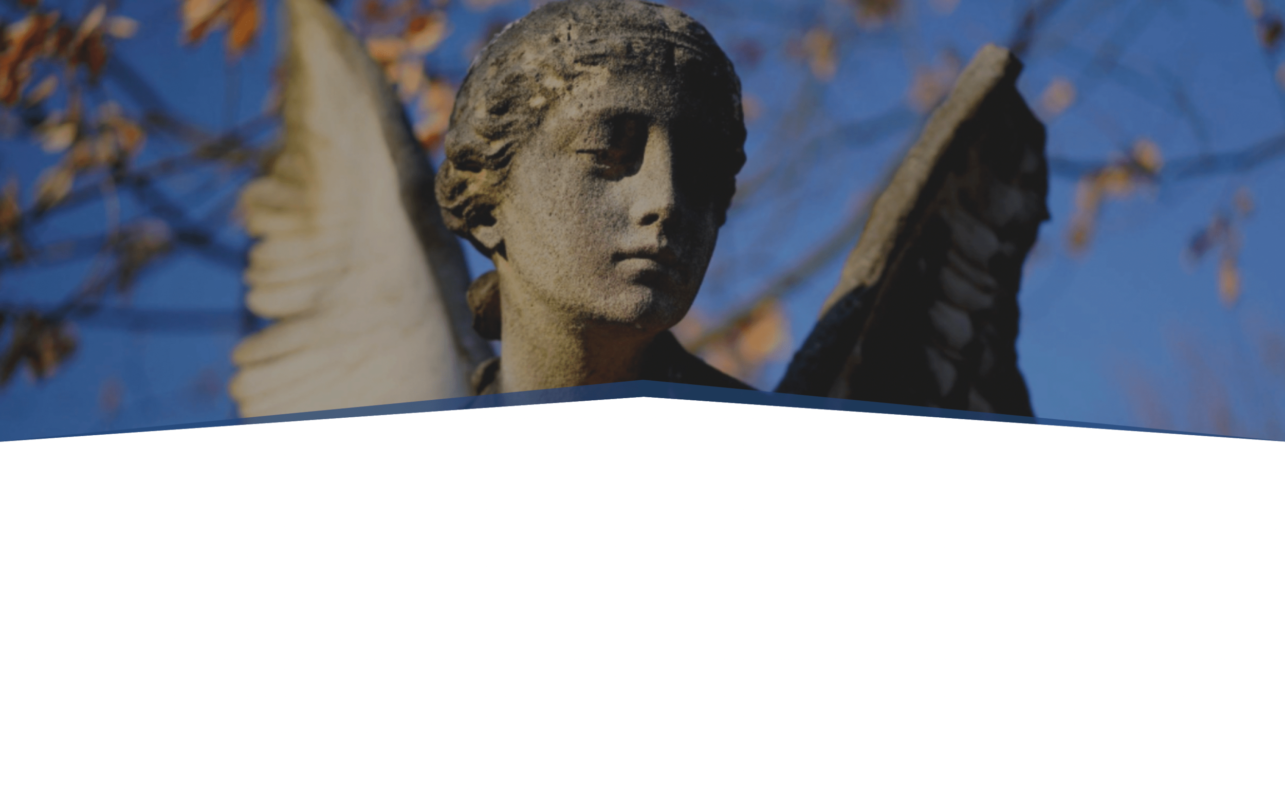 Screenshot 2022-01-24 at 12.42.34.png