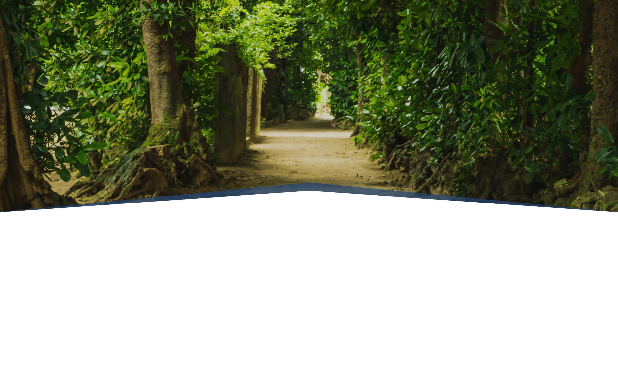 Screenshot 2022-01-24 at 12.42.09.png