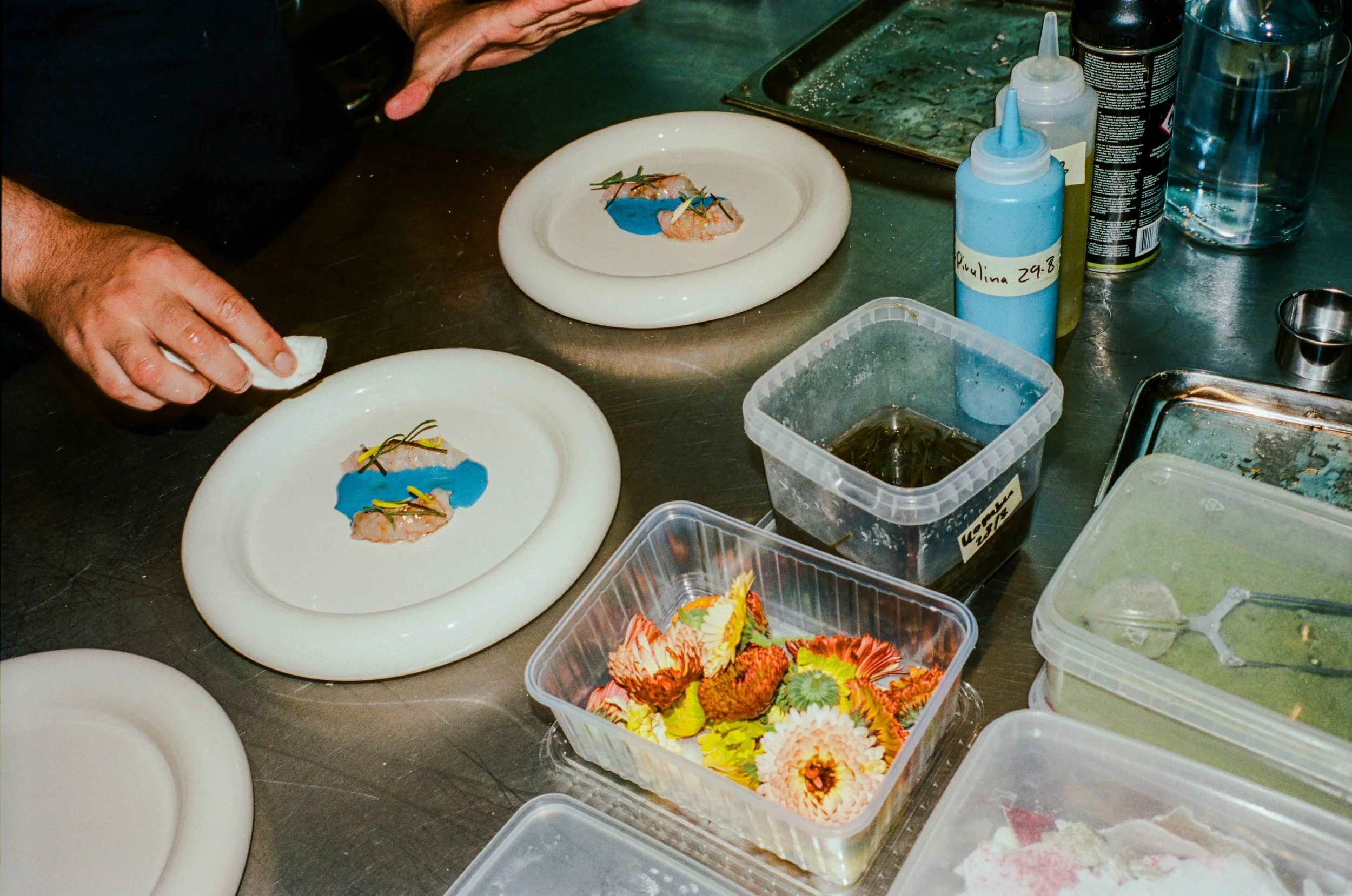 06 - 000000020026.jpg