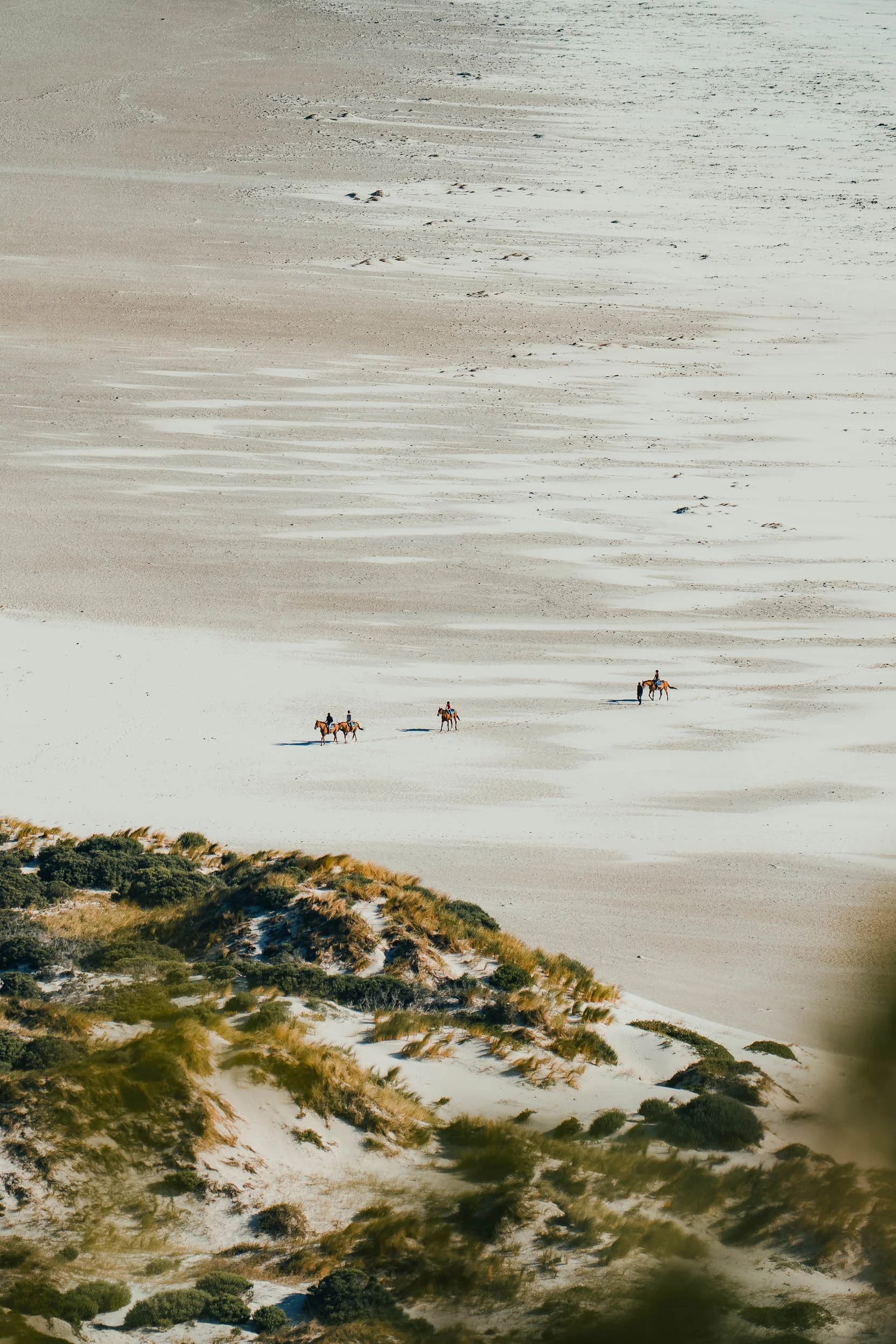 Three people riding horses on a vast, sandy desert landscape with sparse vegetation in the foreground.
