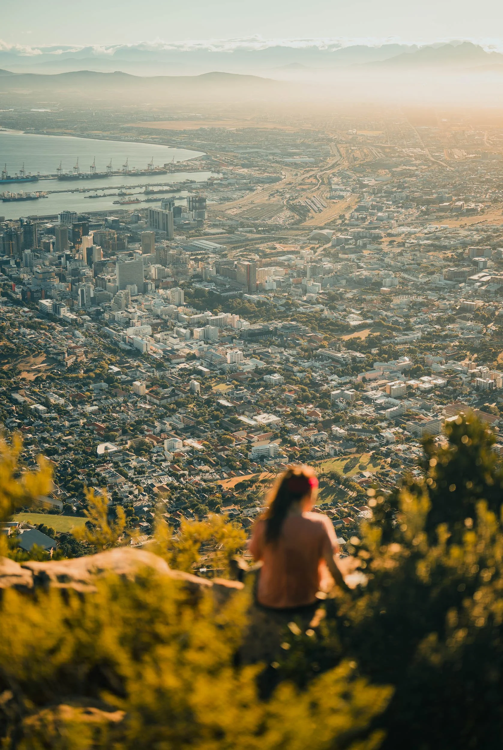 A woman with long hair and a red flower in her hair sitting on a hillside overlooking a city skyline with a river, mountains in the background, and an industrial port.