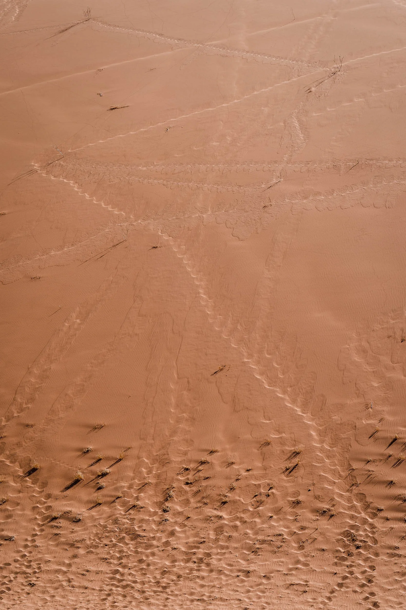 Aerial view of desert sand with multiple tire tracks and footprints creating patterns on the surface, scattered dry branches and small plants.