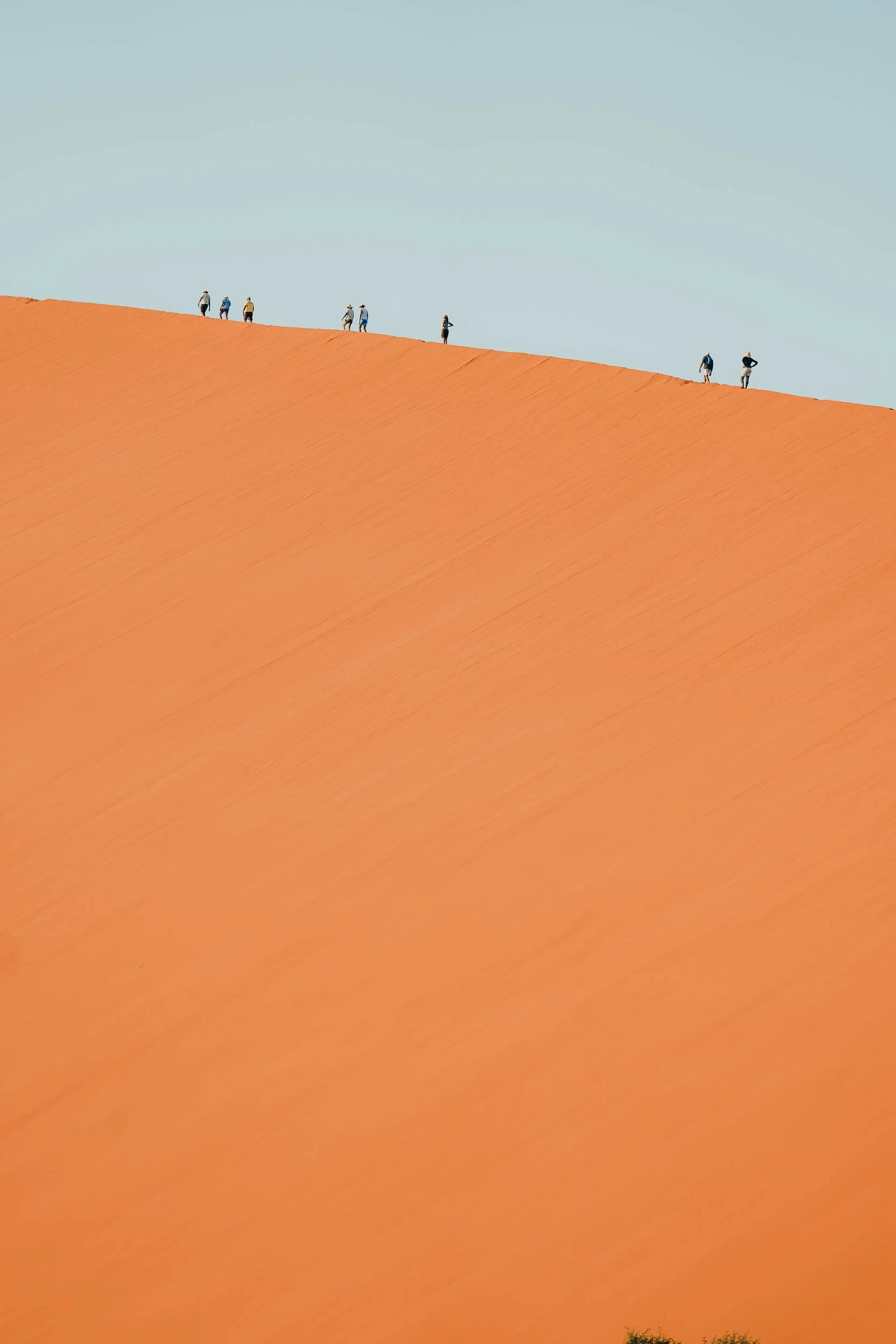 Multiple people walking along the crest of an orange sand dune with a clear blue sky in the background.