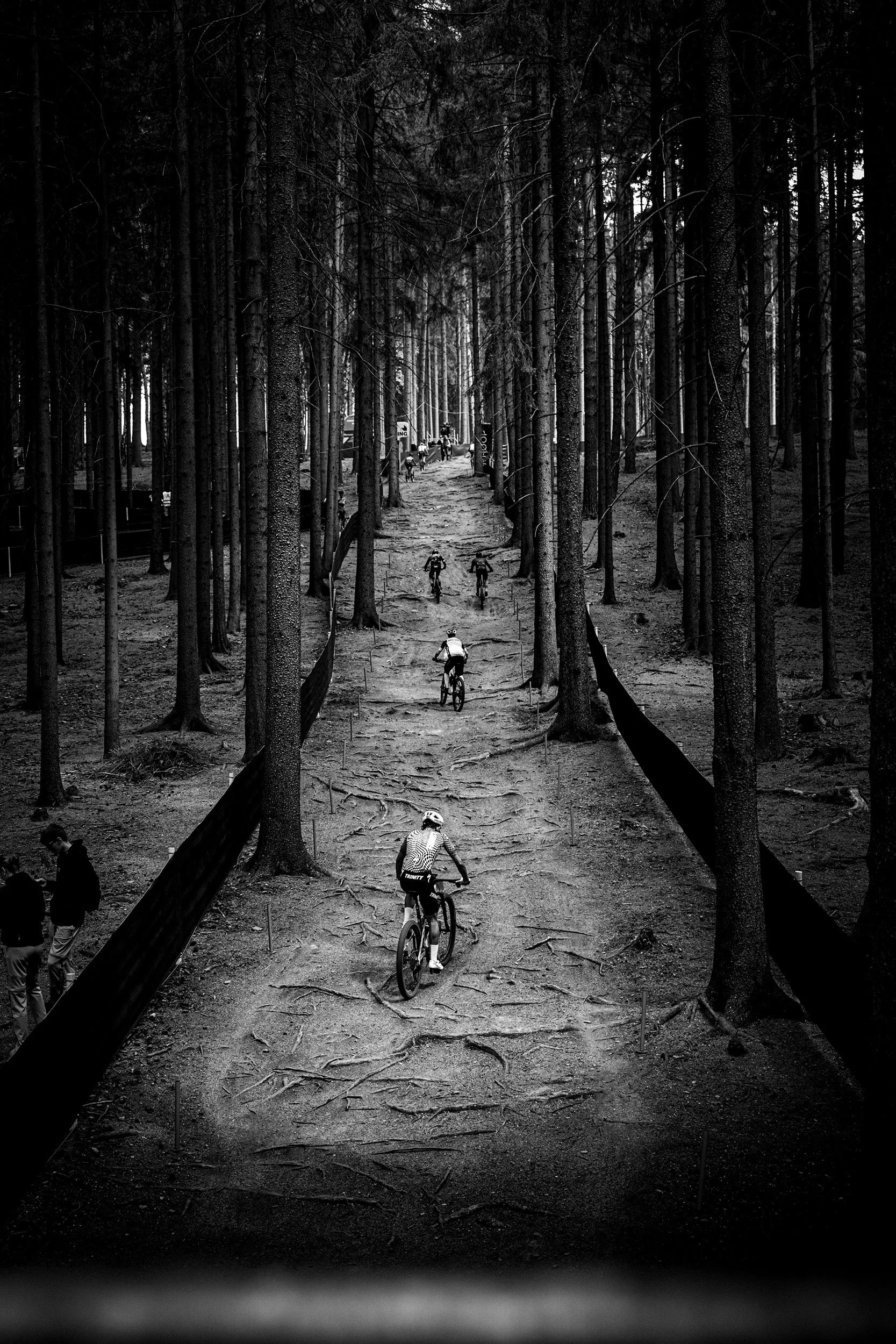 Multiple people riding mountain bikes on a dirt trail through a dense forest with tall trees.