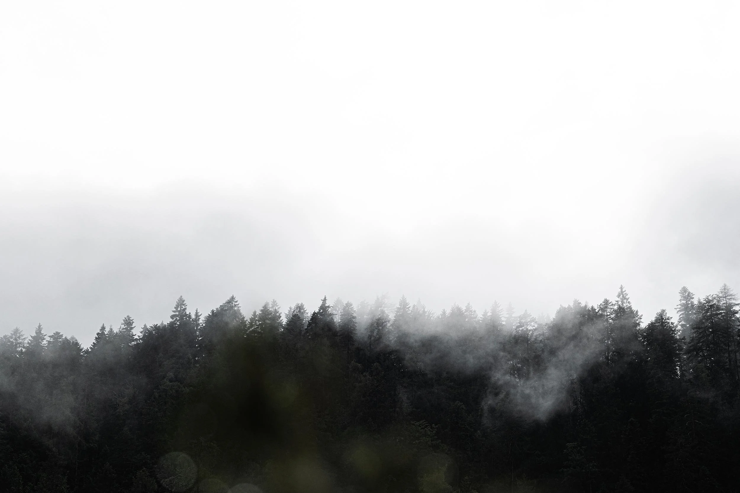 Foggy mountain landscape with dense trees and mist.