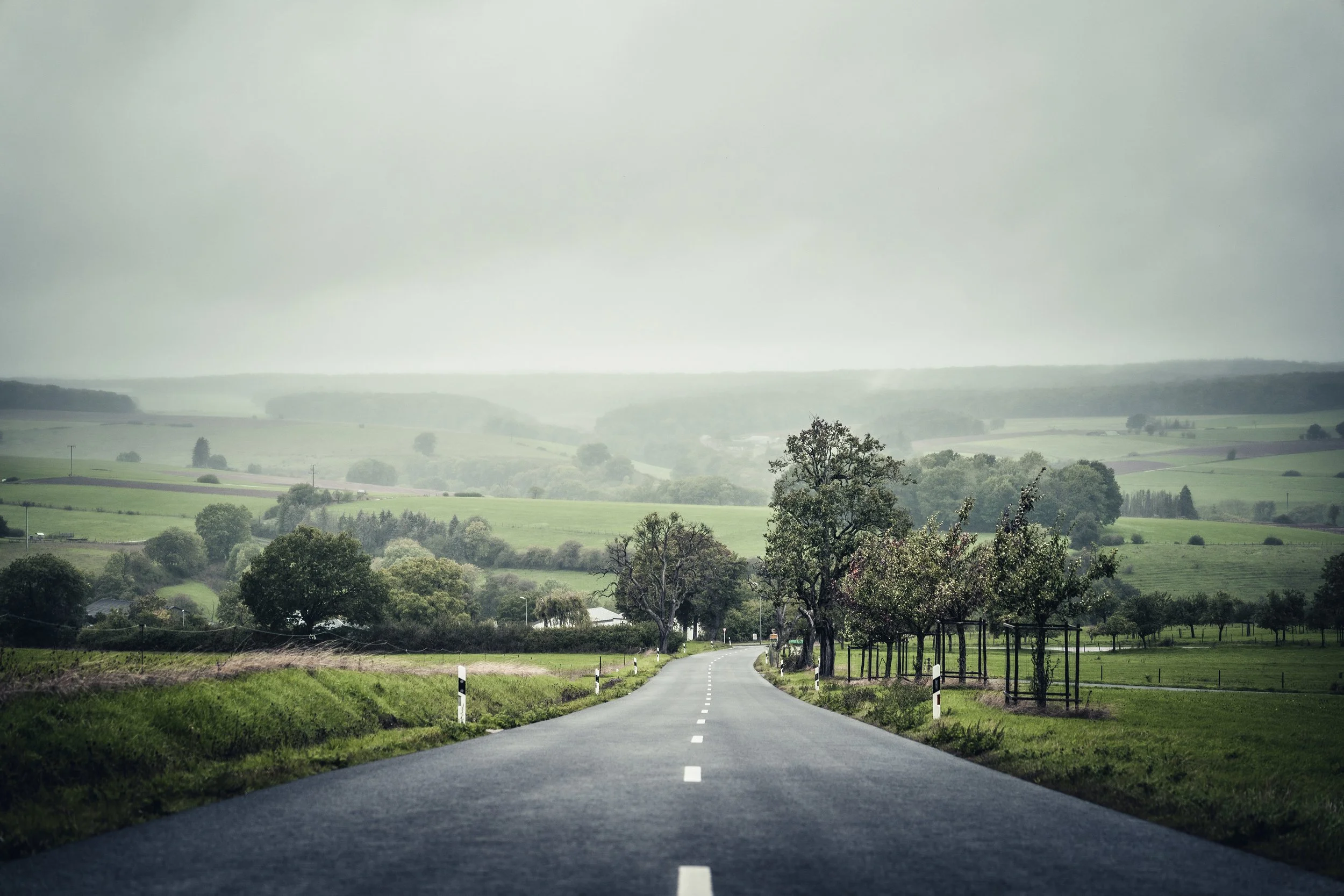A straight rural road stretching into the distance with grassy fields, trees on both sides, and overcast sky.