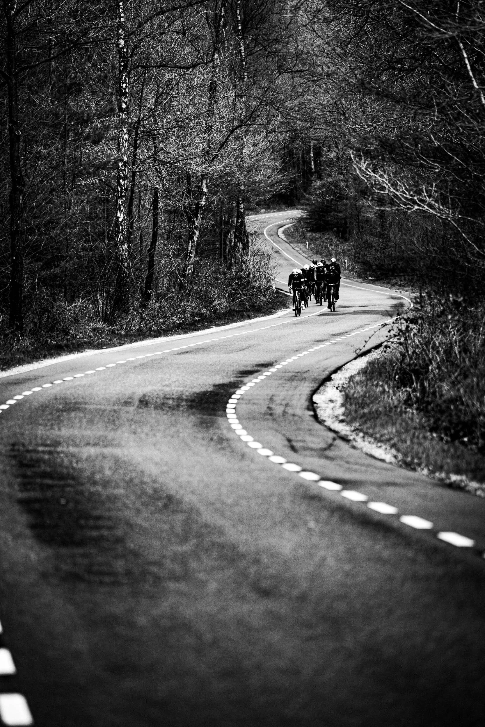 A black-and-white photo of a winding road through a wooded area with leafless trees. A group of cyclists is riding together on the road.