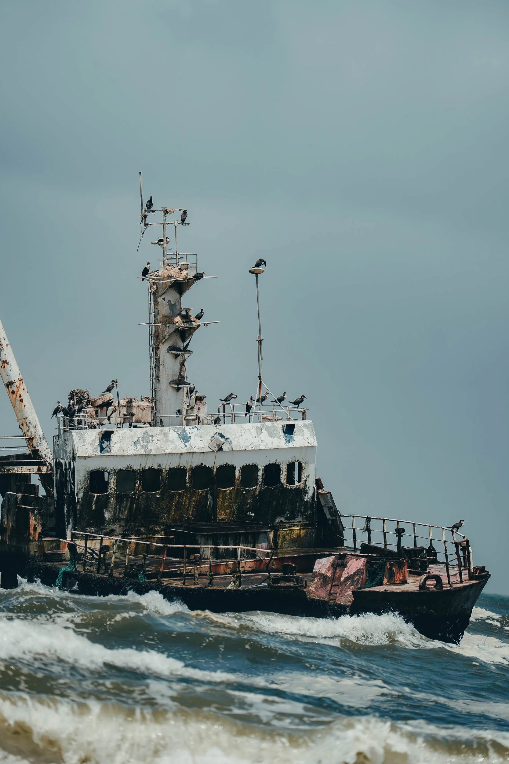 Old, abandoned, rusted ship with many birds perched on it, floating in choppy water under a cloudy sky.