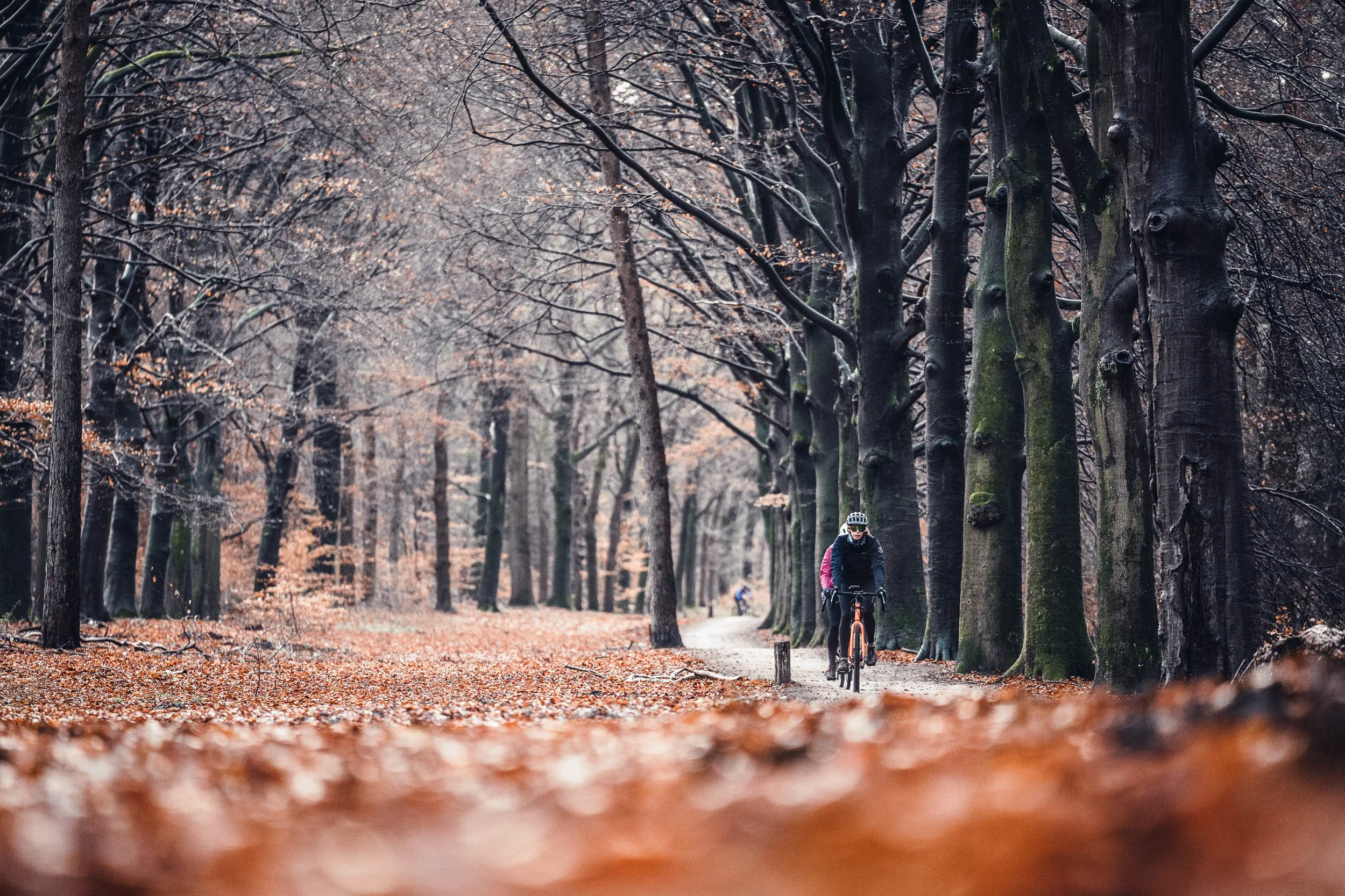 Cyclist riding on a dirt path through a forest with tall, leafless trees and fallen autumn leaves on the ground.