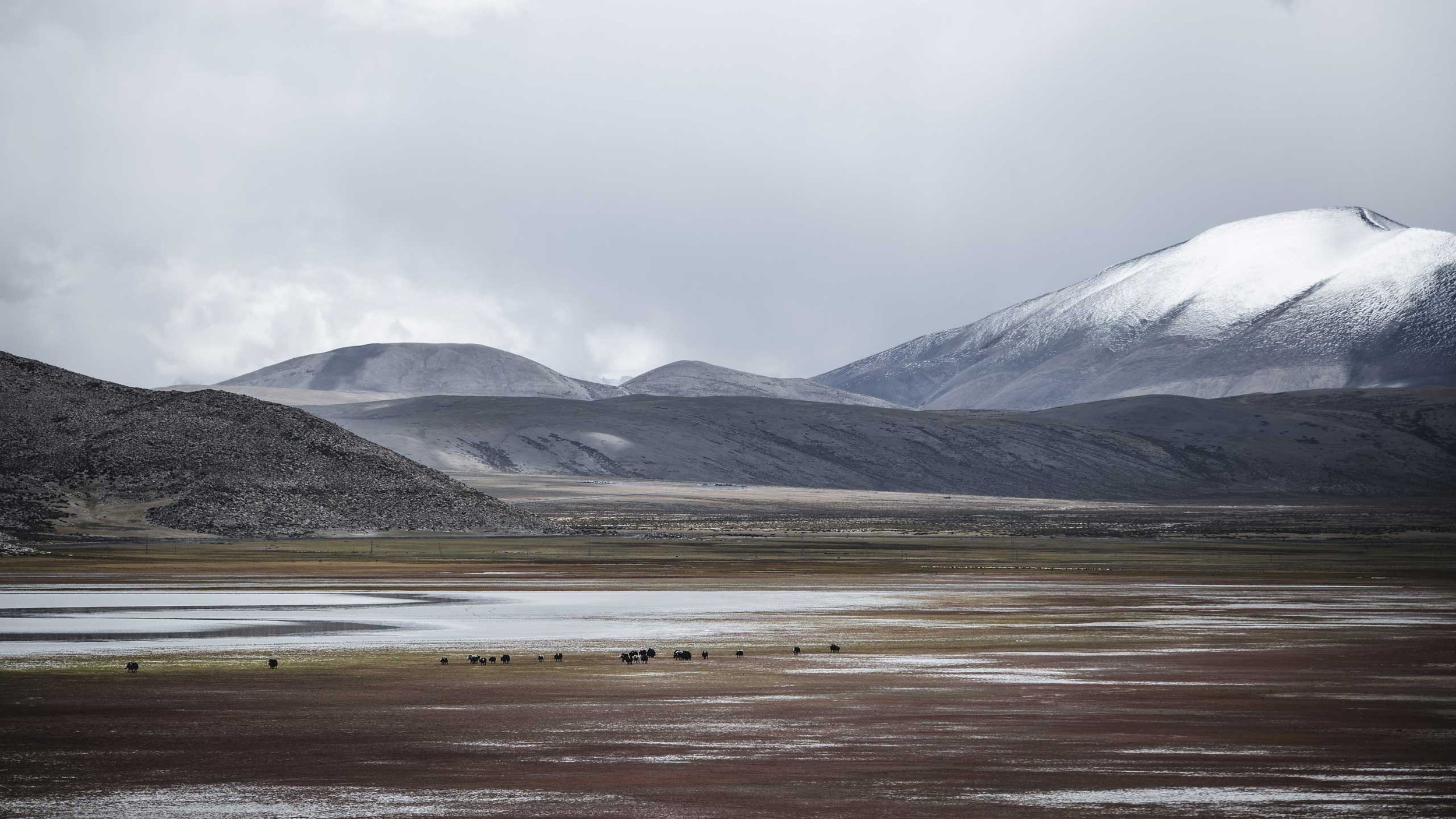 A vast landscape with snow-capped mountains in the background, rolling hills, and a flat plain with small animals grazing near water patches.