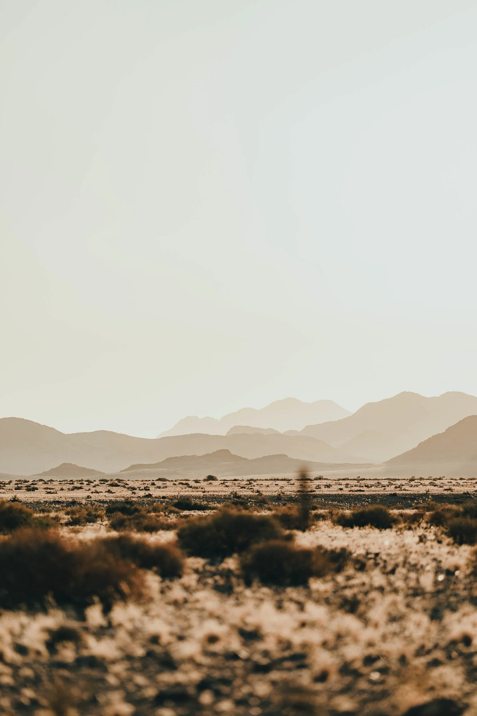 A vast desert landscape with mountains in the background, dry bushes in the foreground, under a clear sky.