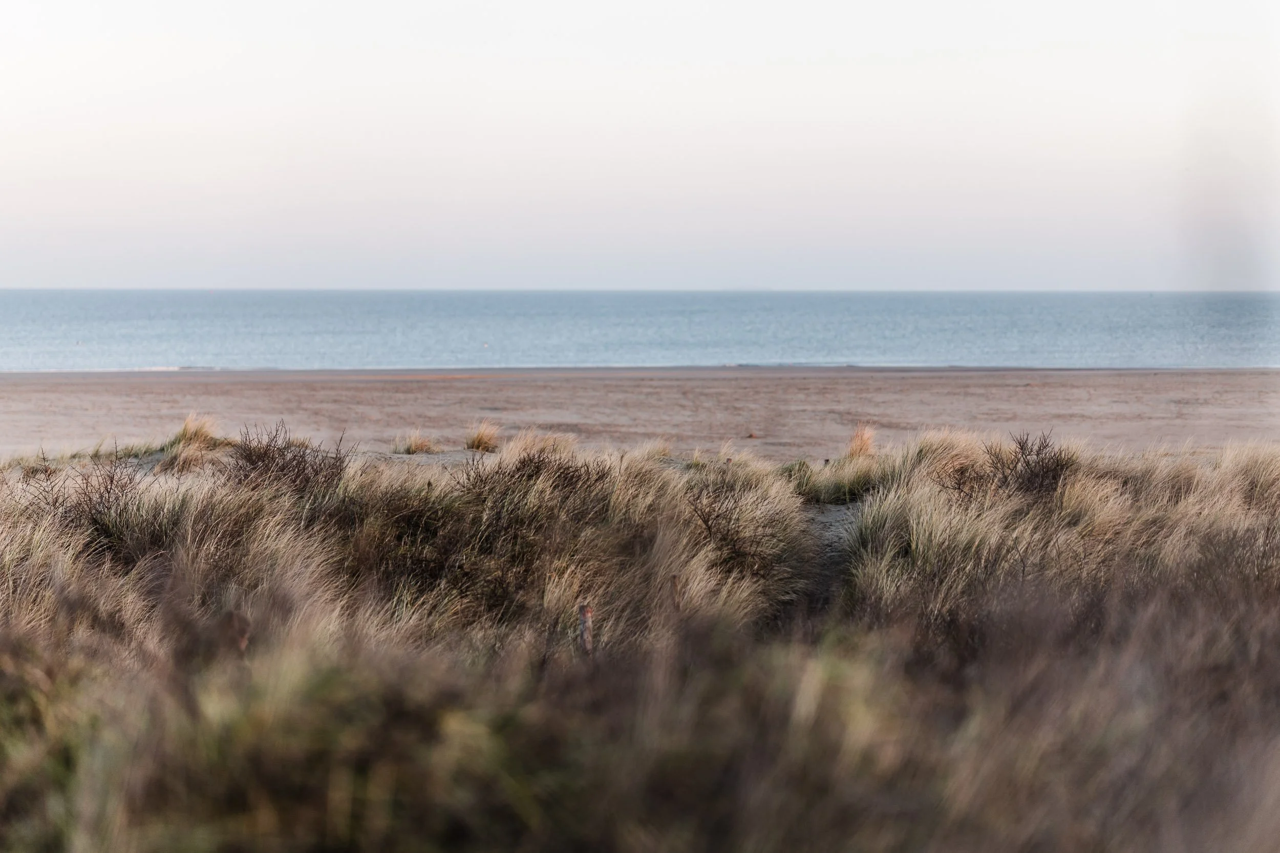 Beach with sandy shoreline, sparse vegetation and grasses in the foreground, calm ocean water in the background under a cloudy sky.