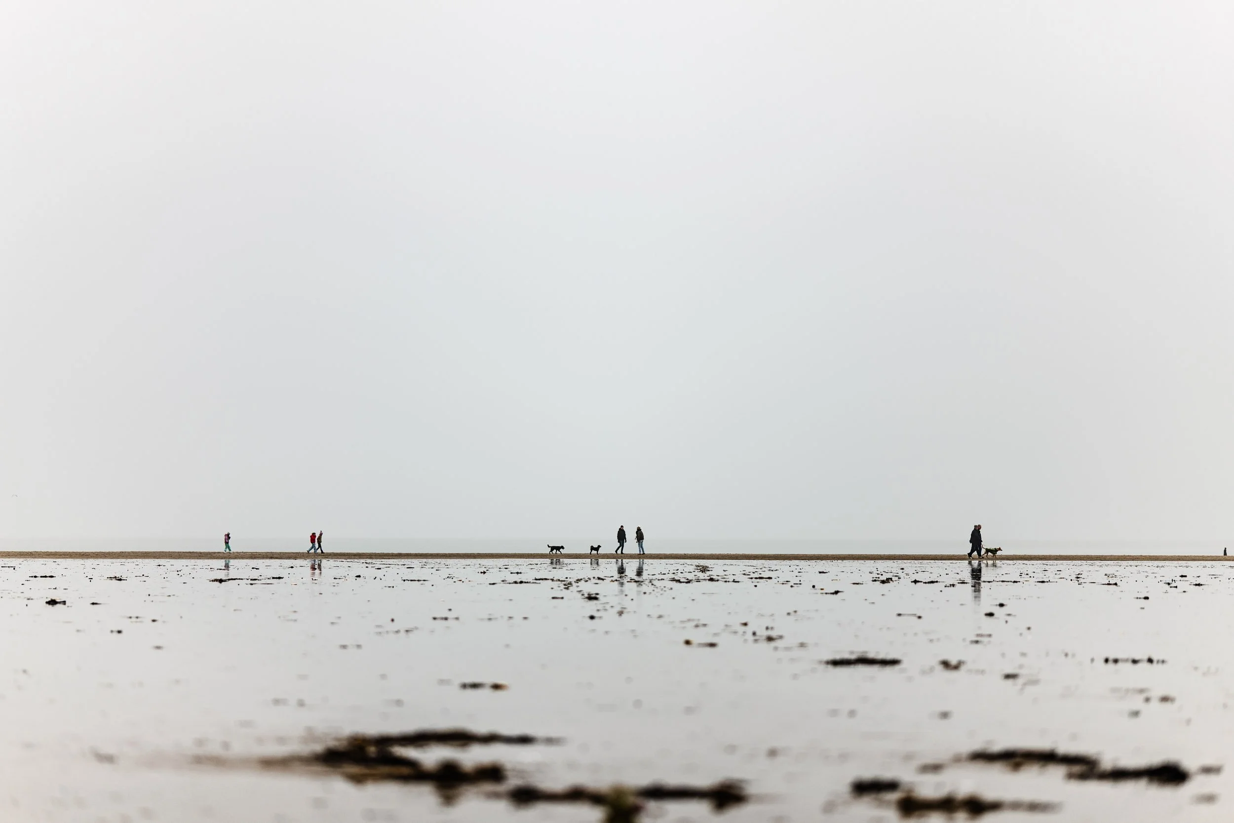 People walking dogs along a flat, wet beach on an overcast day