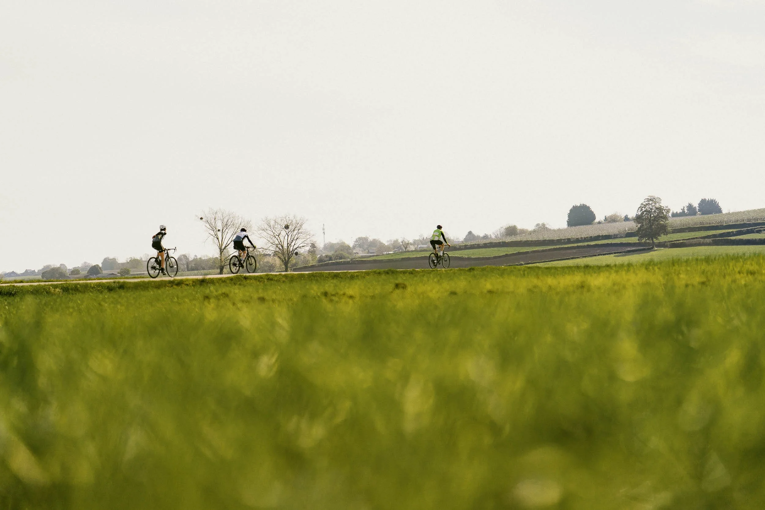 Three people riding bicycles on a trail through a rural landscape with fields and trees in the background.