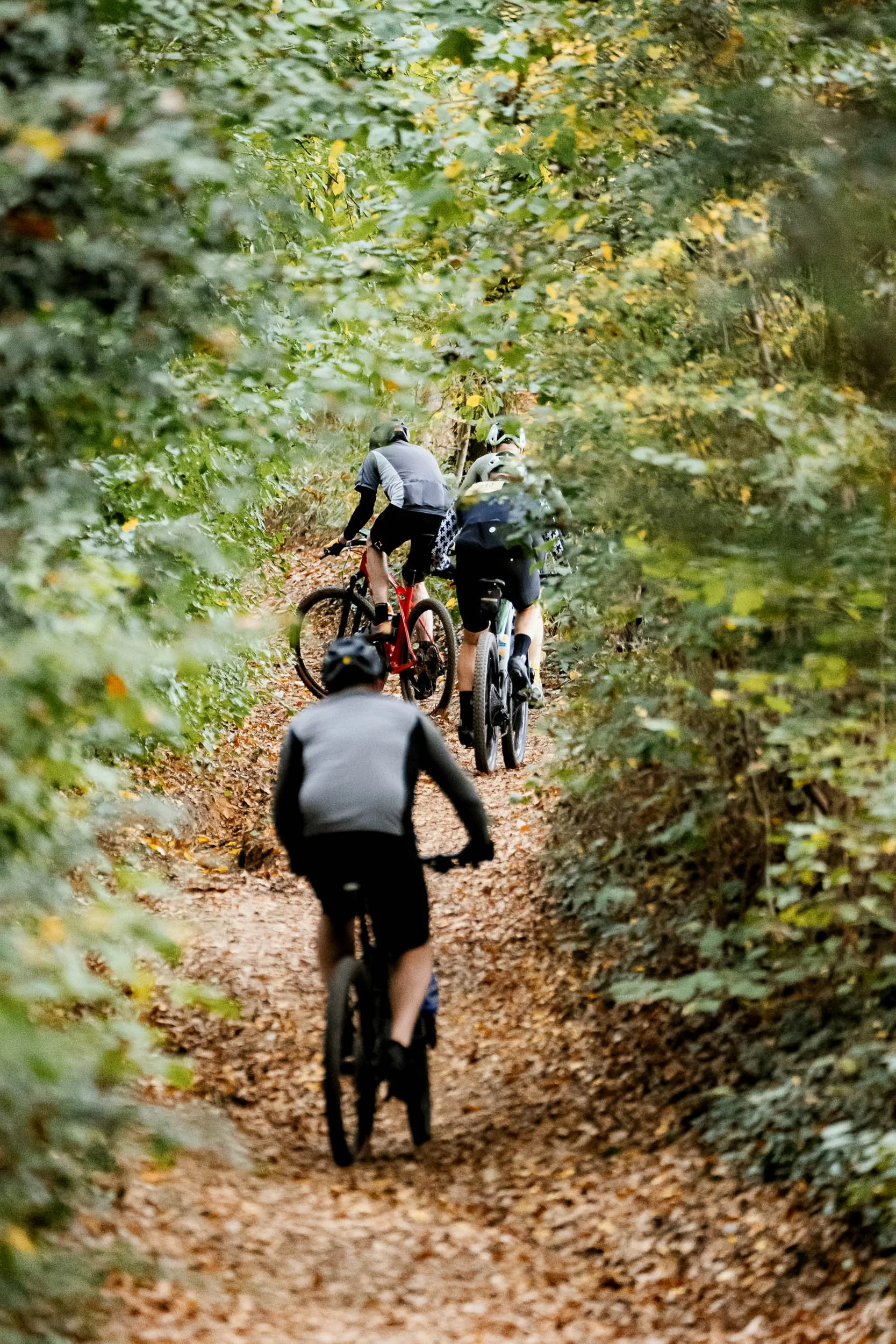 Four people riding mountain bikes on a dirt trail through a forest with green and yellow leaves.