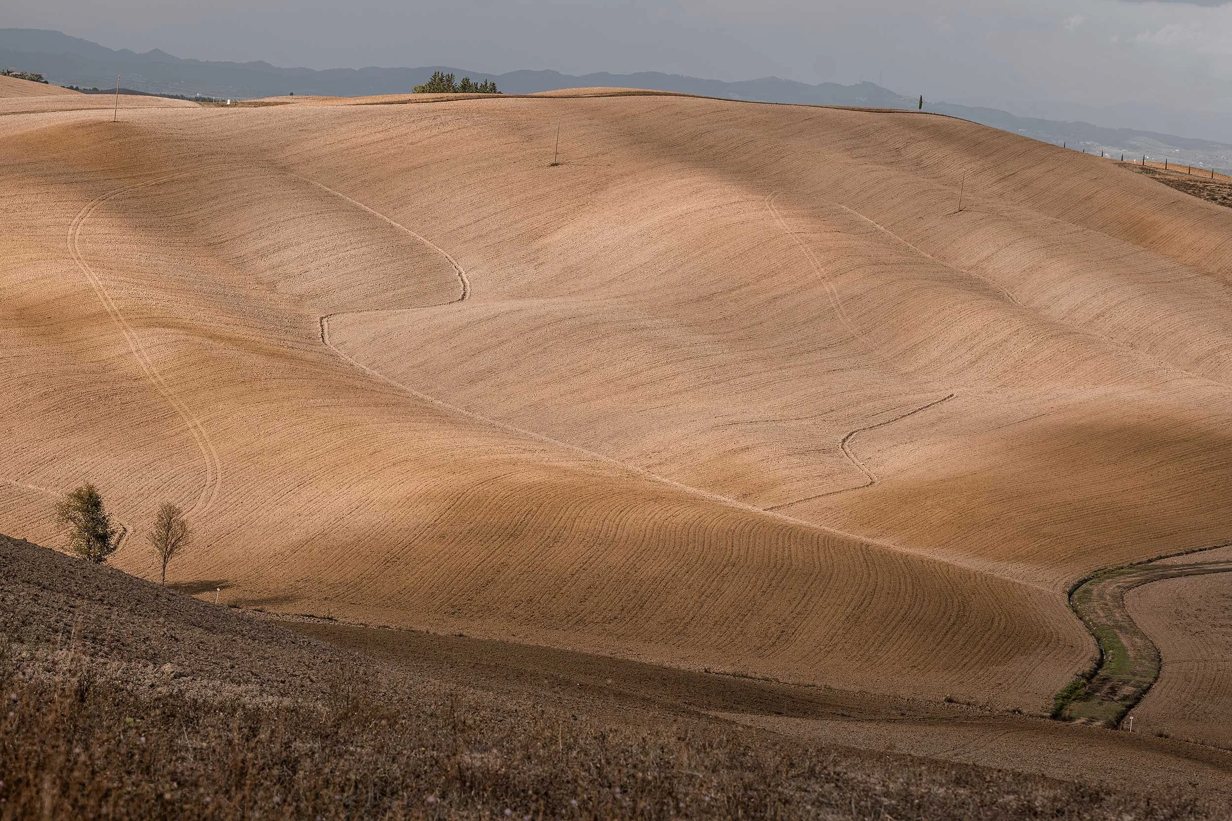 Hilly farmland with alternating light and dark brown fields and tractor tire tracks, with mountains in the background.