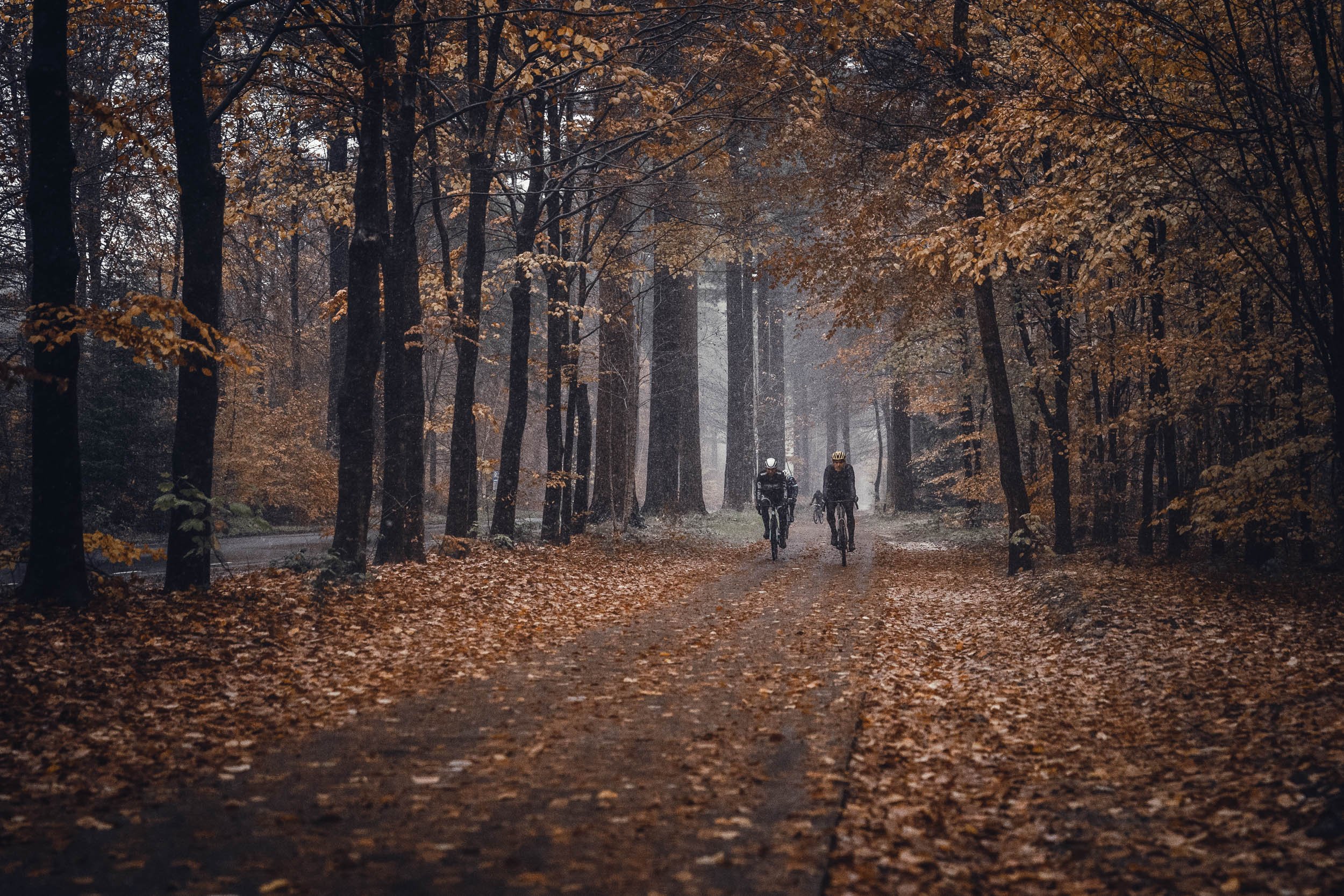 Two cyclists riding their bikes on a dirt path through a misty, autumn forest with fallen leaves covering the ground.