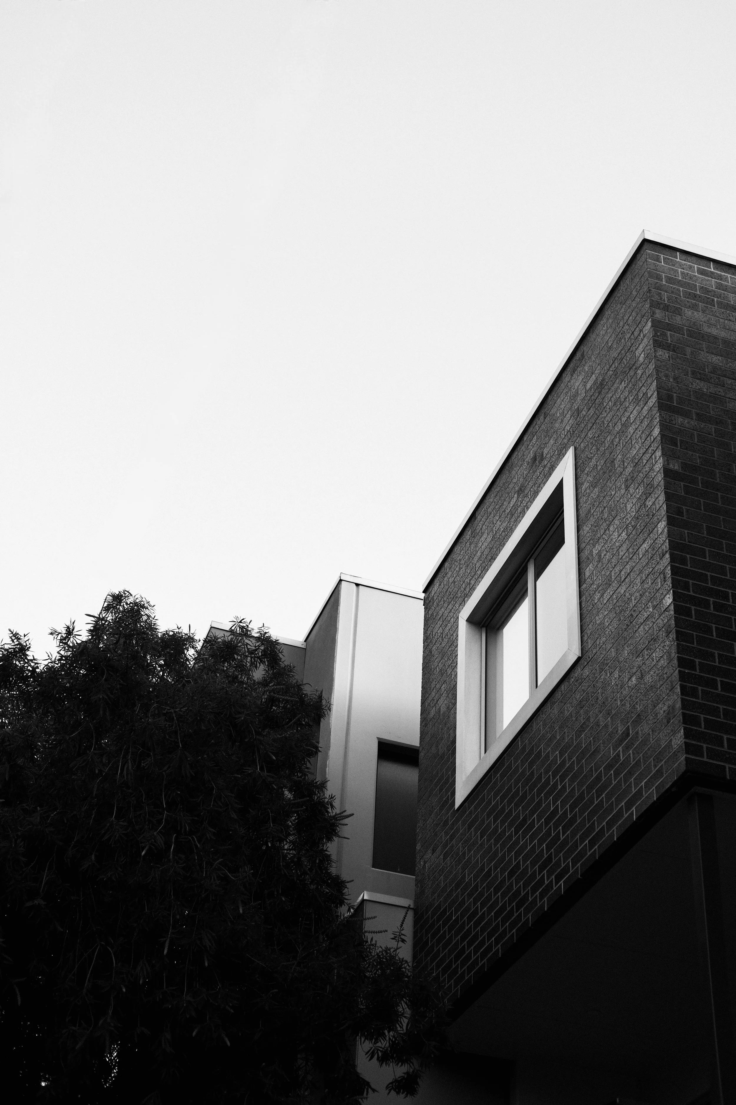 Black and white photo of a modern building with brick exterior and a window, partially obscured by a tall leafy tree in the foreground.