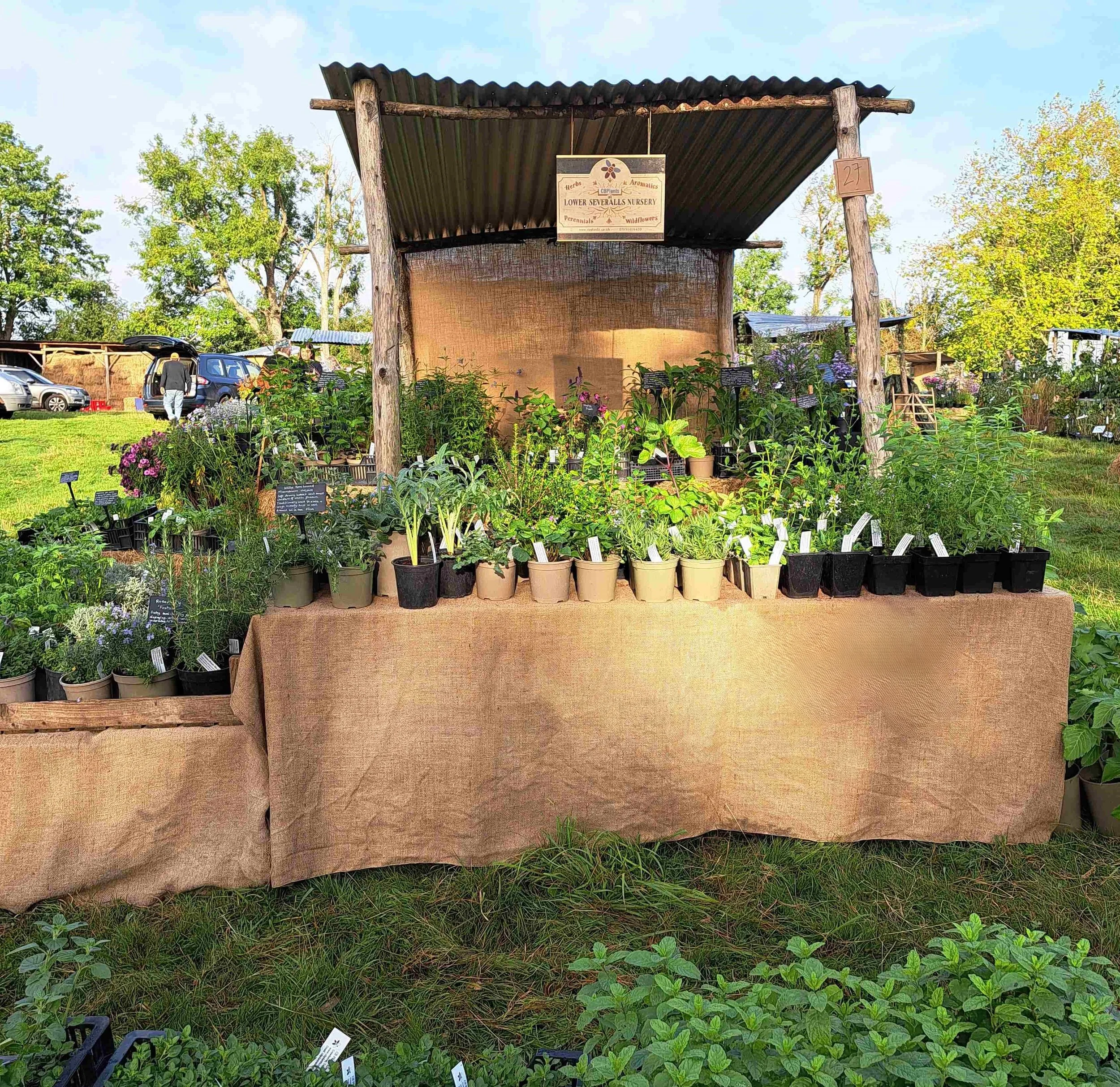 CB Plants' Dixter stand at a 2025 plant fair