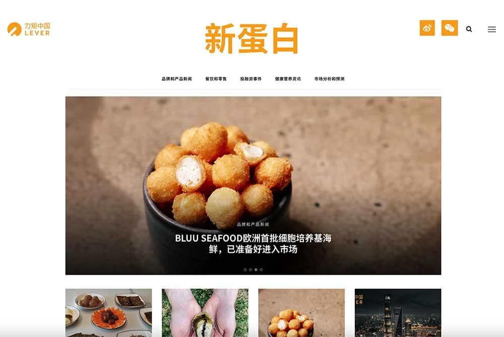 NewProtein.cn: the Go-To Source for China Alt Protein News