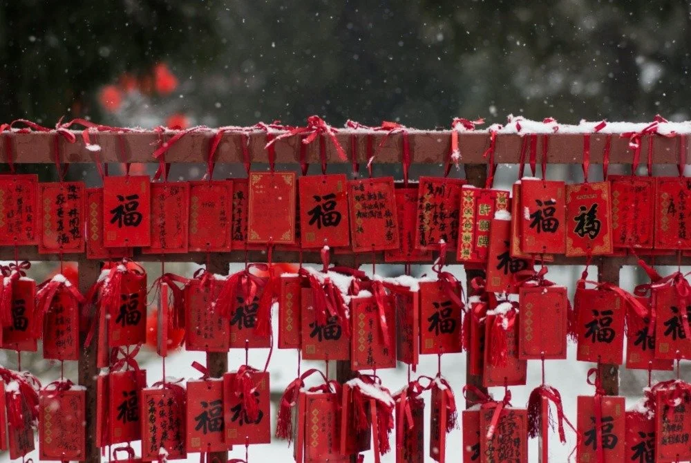 Happy New Year from Lever Foundation!