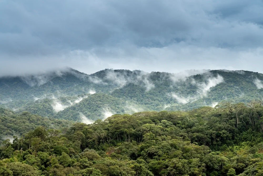 Harnessing the Power of Alternative Protein on World Environment Day