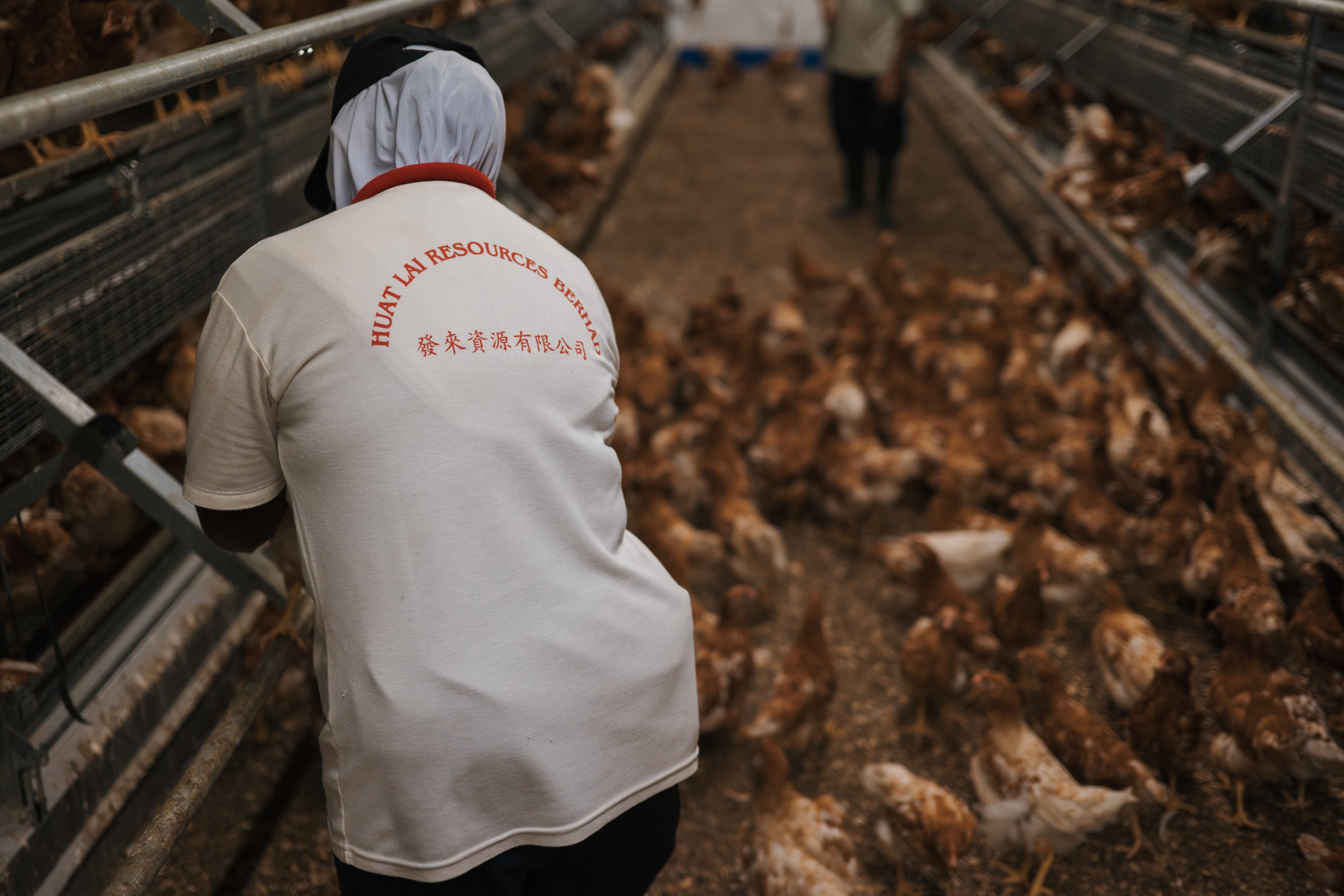 Anatomy of an Agricultural Shift
