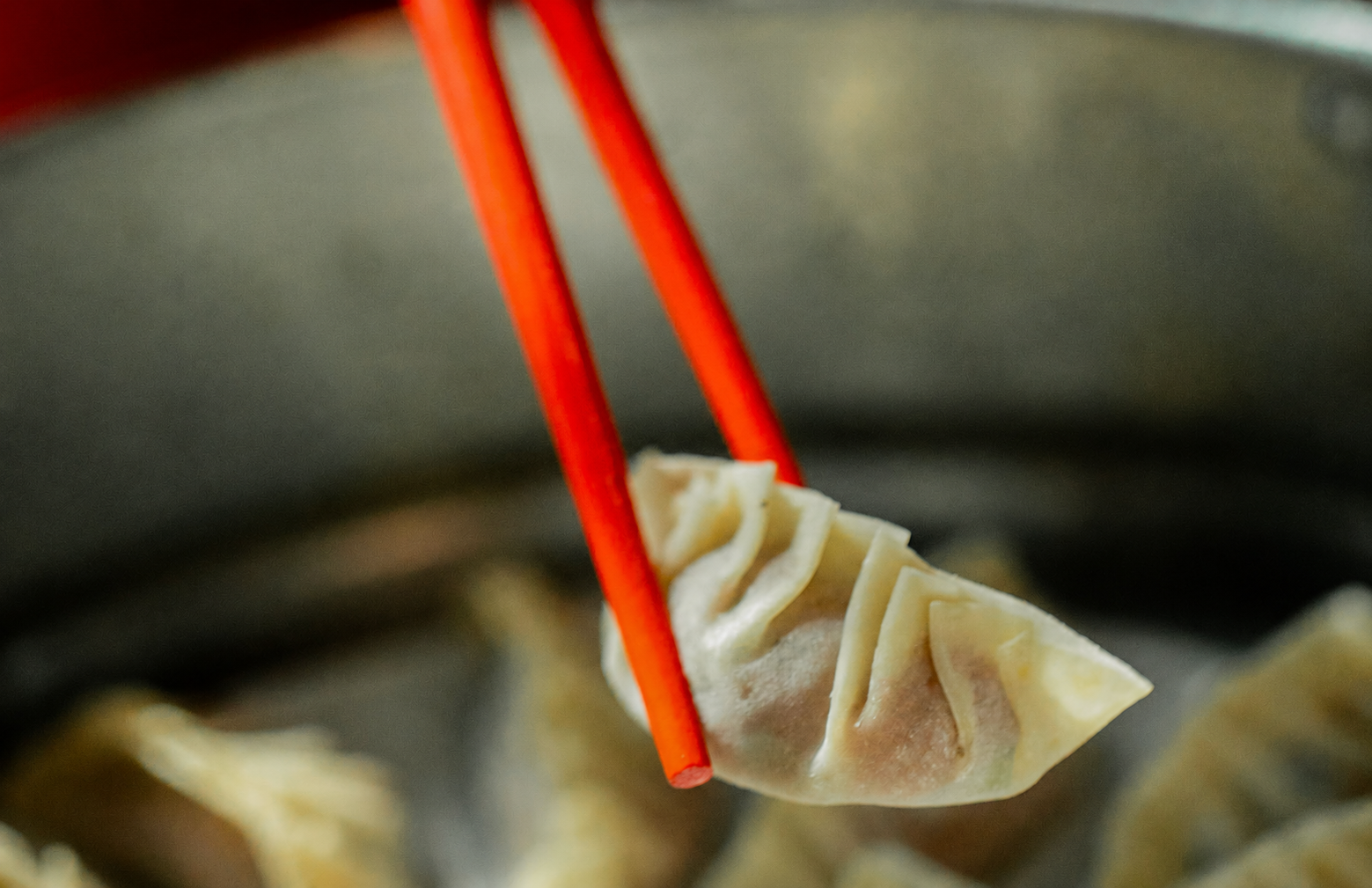 The Deep Roots of Asia’s Plant-Based Heritage