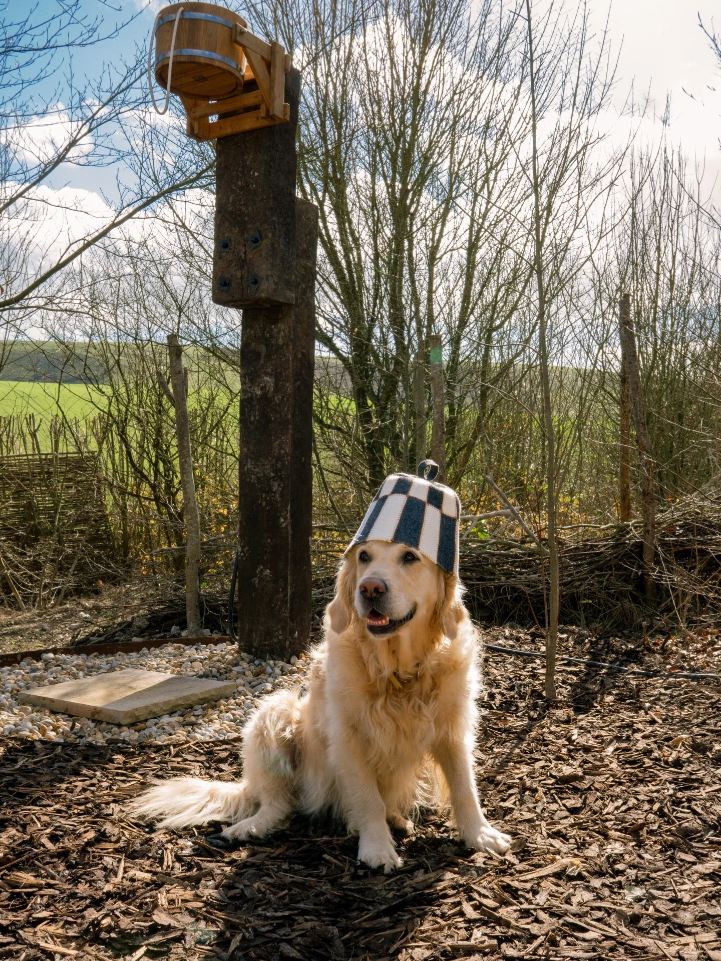 Our site manager, Bear, has been making sure that our cosy corner of the South Downs is coming along nicely 🌿🔥

We&rsquo;ve been busy working behind the scenes, getting everything prepared for our launch in April.

Our philosophy will always be sim