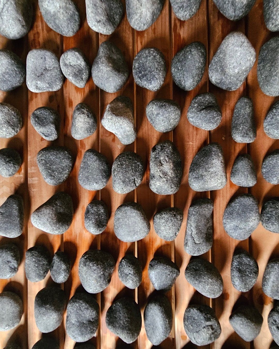 Recap on the sauna build so far 🪵🔥

The past few months has been a mix of planning, problem solving, and figuring things out as we go!

Removing stubborn tree stumps, relocation trees, and battling rain, rain and more rain!

And somewhere in betwee