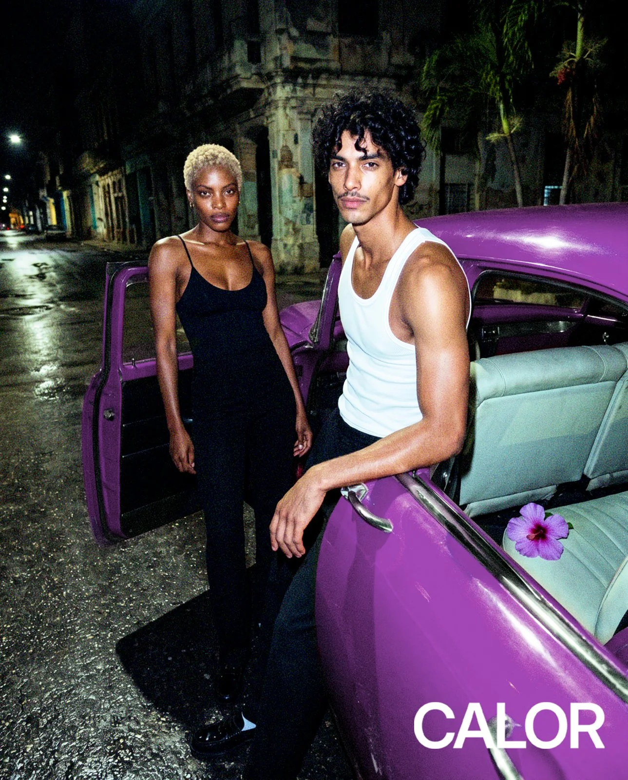 mixed couple 25 years old in cuba in front of purple old american car