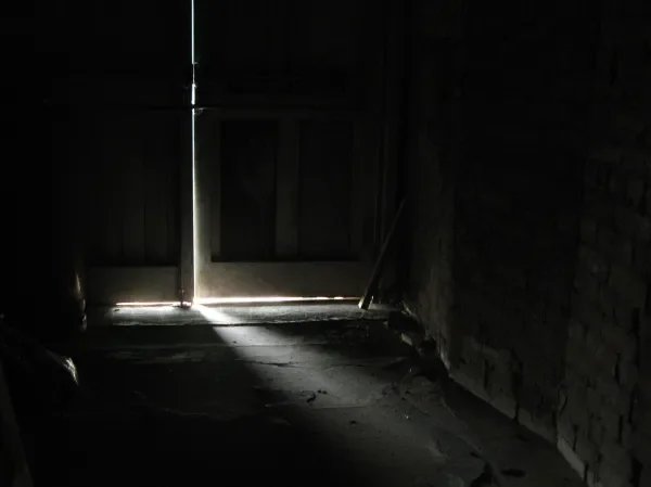 Sea Breeze is a Raisin & Willow* project commissioned by Live at LICA, made in collaboration with imitating the dog, and produced by Alice Booth (Creative Producer, Live at LICA). I was an Assistant Producer in this project