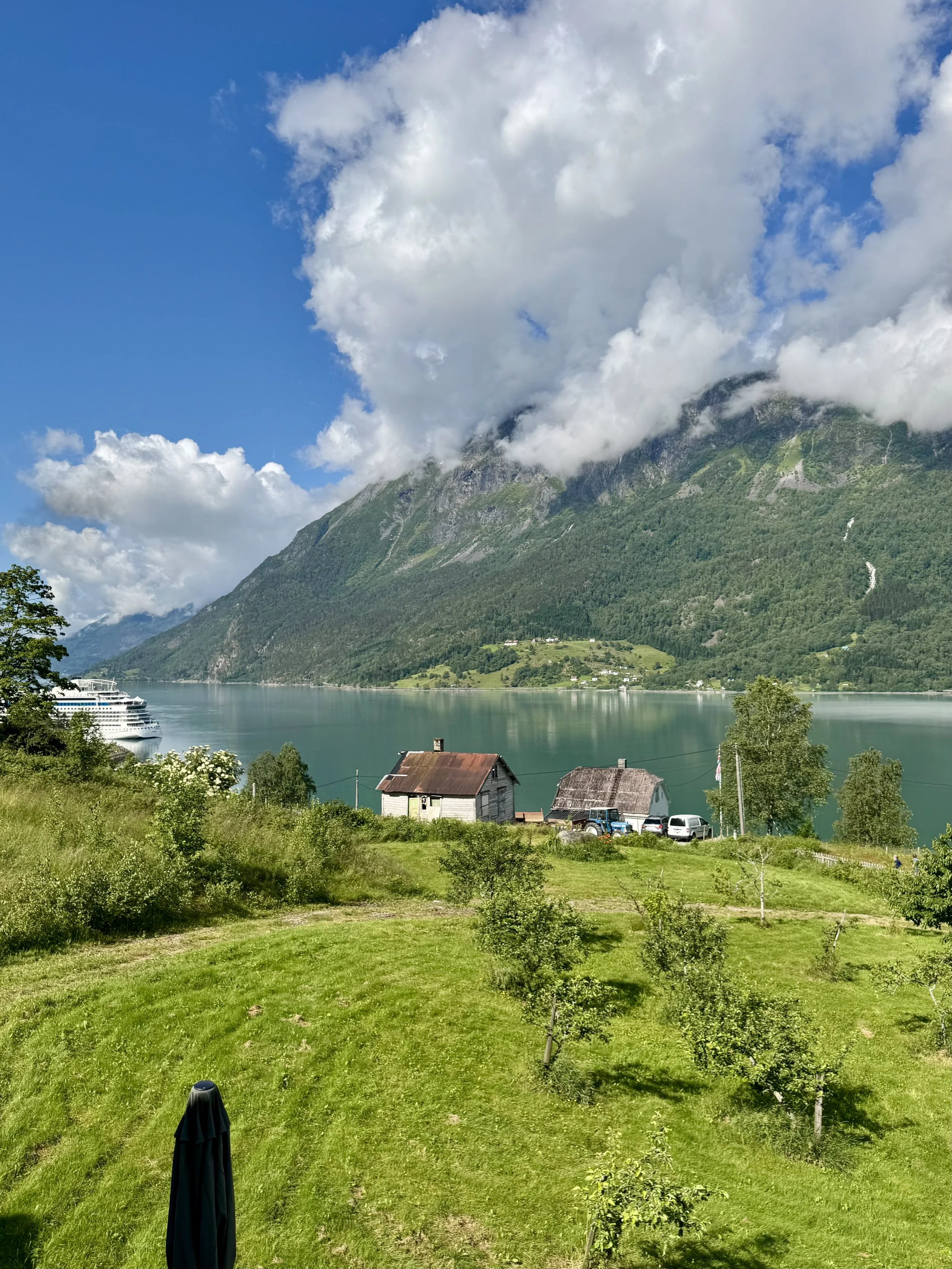 Scenic landscape of a lake with a cruise ship in the distance, surrounded by green hills and mountains partially covered with clouds, with two small houses and moving vehicles in the foreground.