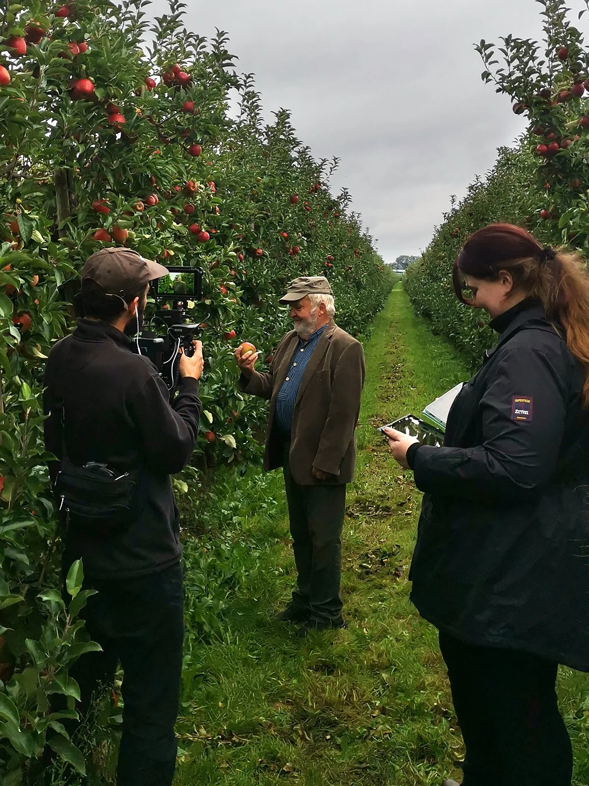 Das Team auf einem Video Dreh. Ein Apfel-Bauer wird gefilmt und zeigt der Kamera einen seine Äpfel