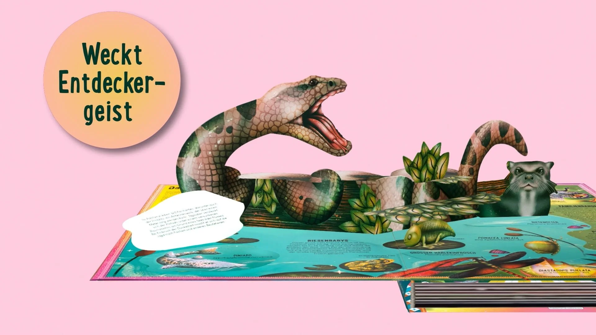 Pop-up-Bücher